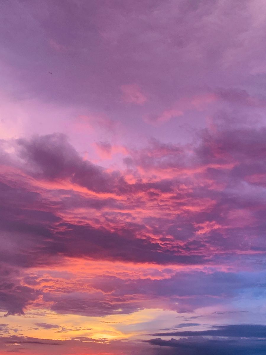 Green Grass And Fogg Under Purple Sky During Sunset Wallpapers