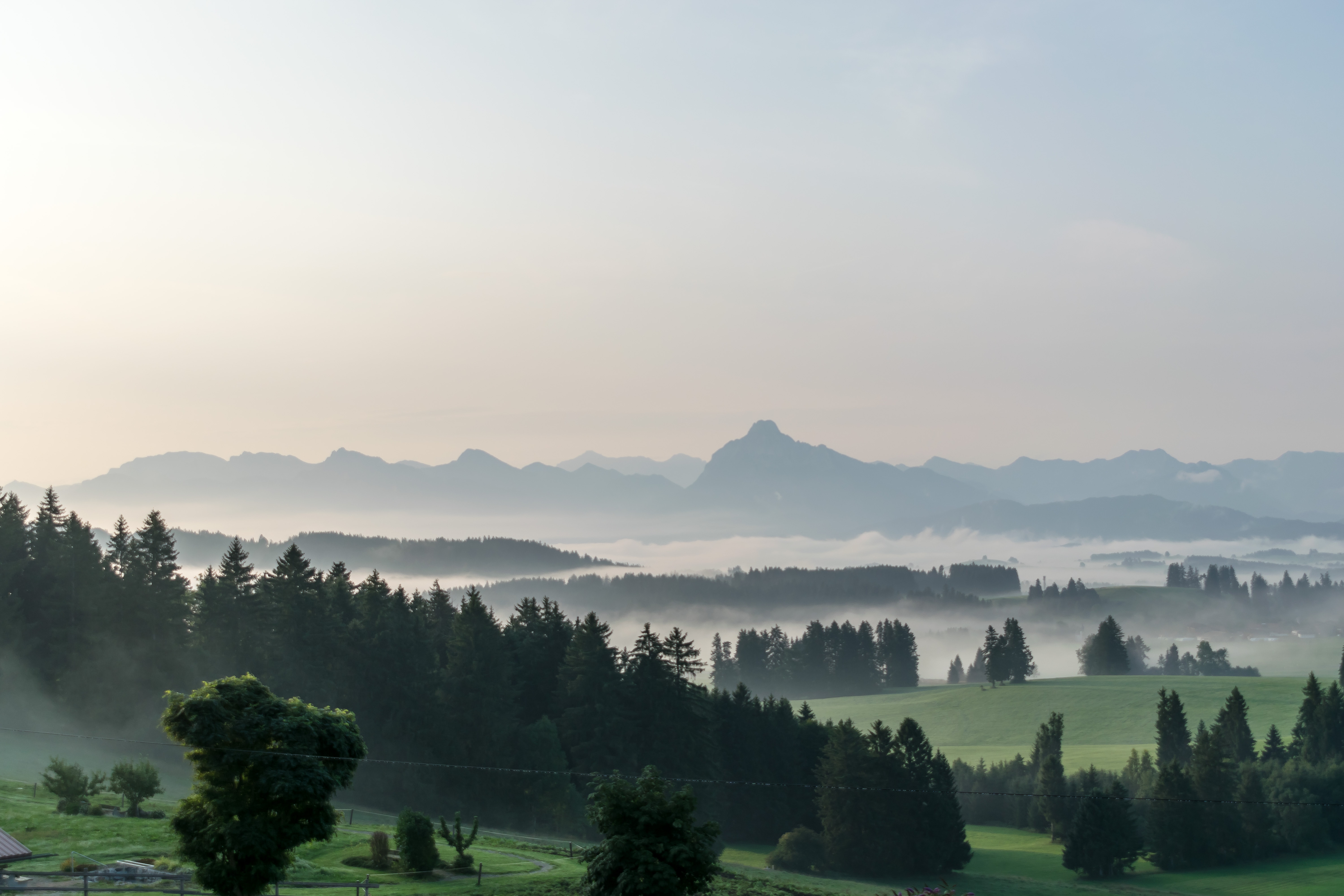 Green Grass And Fogg Under Purple Sky During Sunset Wallpapers