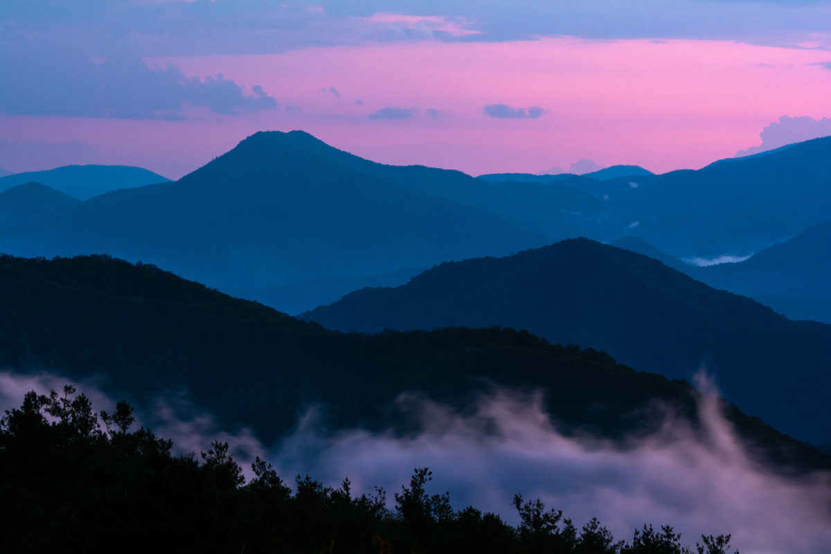 Green Grass And Fogg Under Purple Sky During Sunset Wallpapers