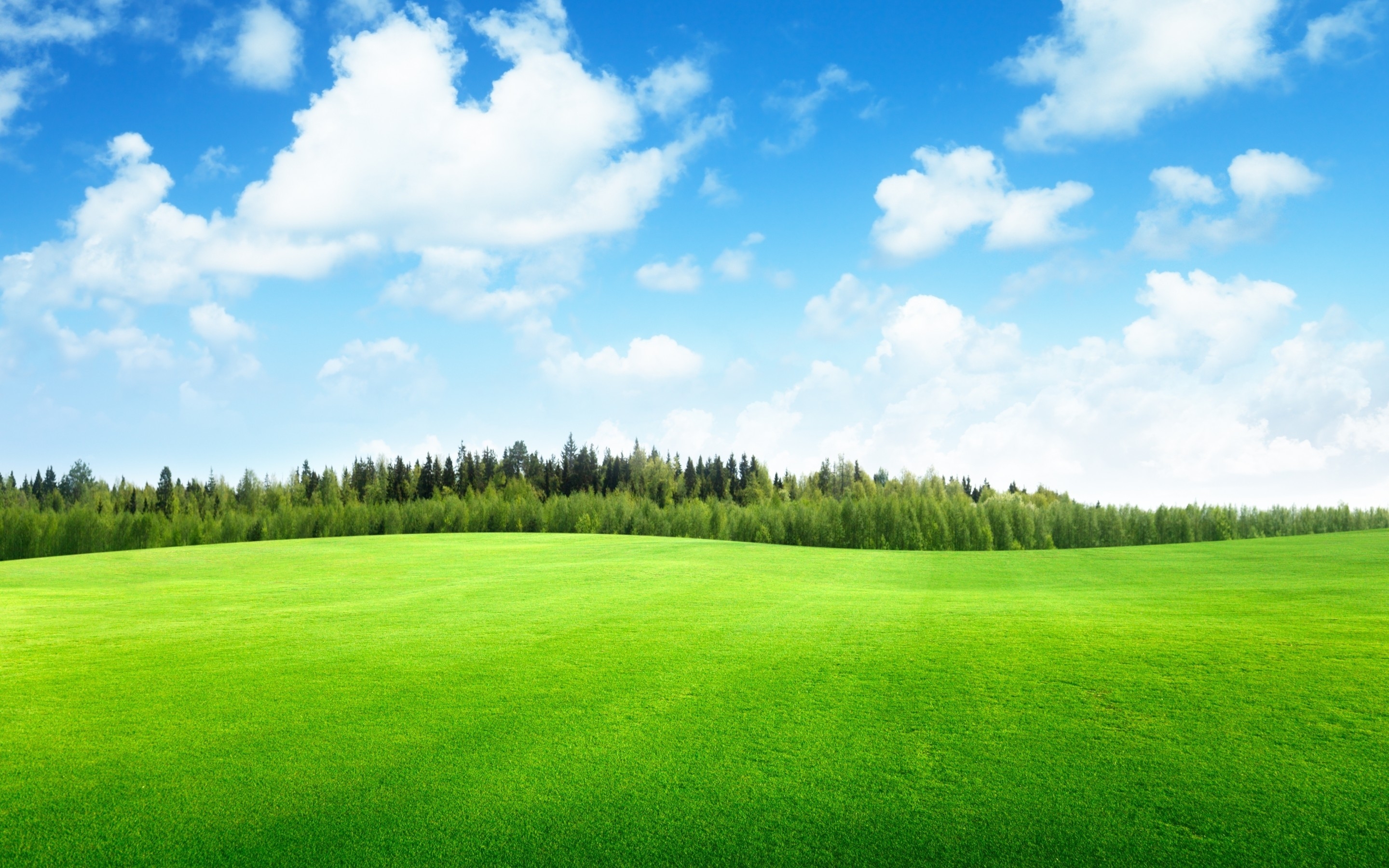 Green Meadow Field Wallpapers