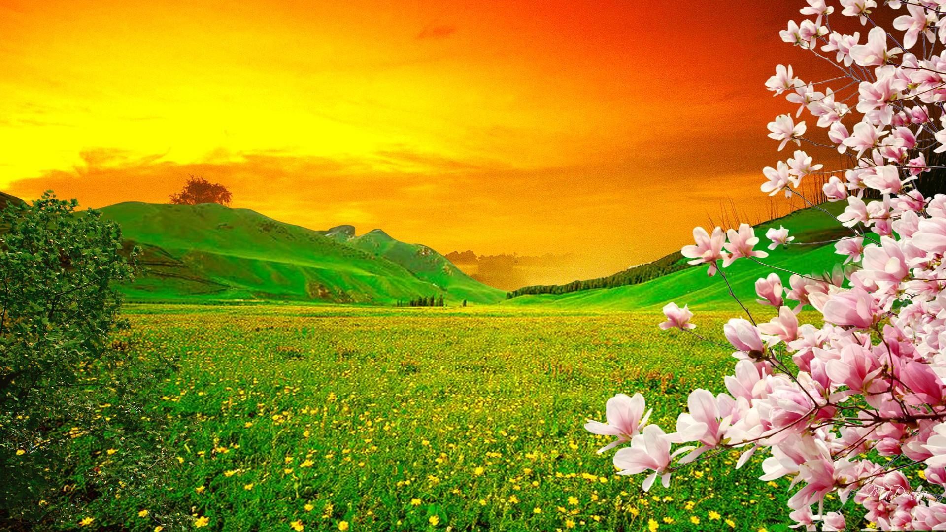 Green Meadow Field Wallpapers