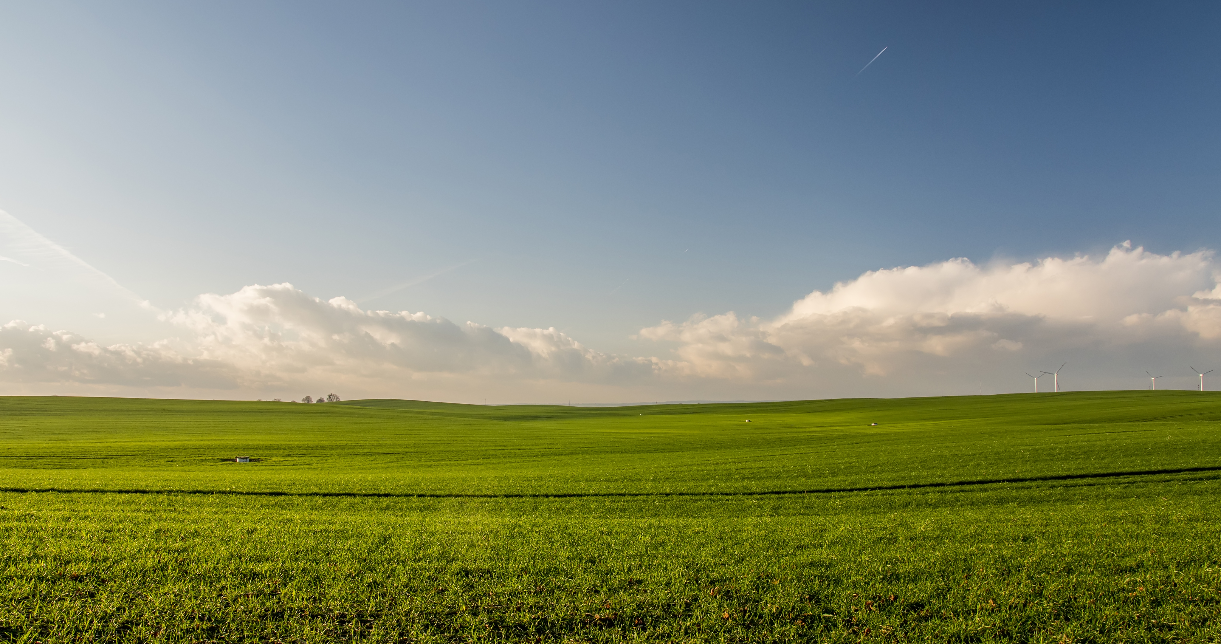 Green Meadow Field Wallpapers