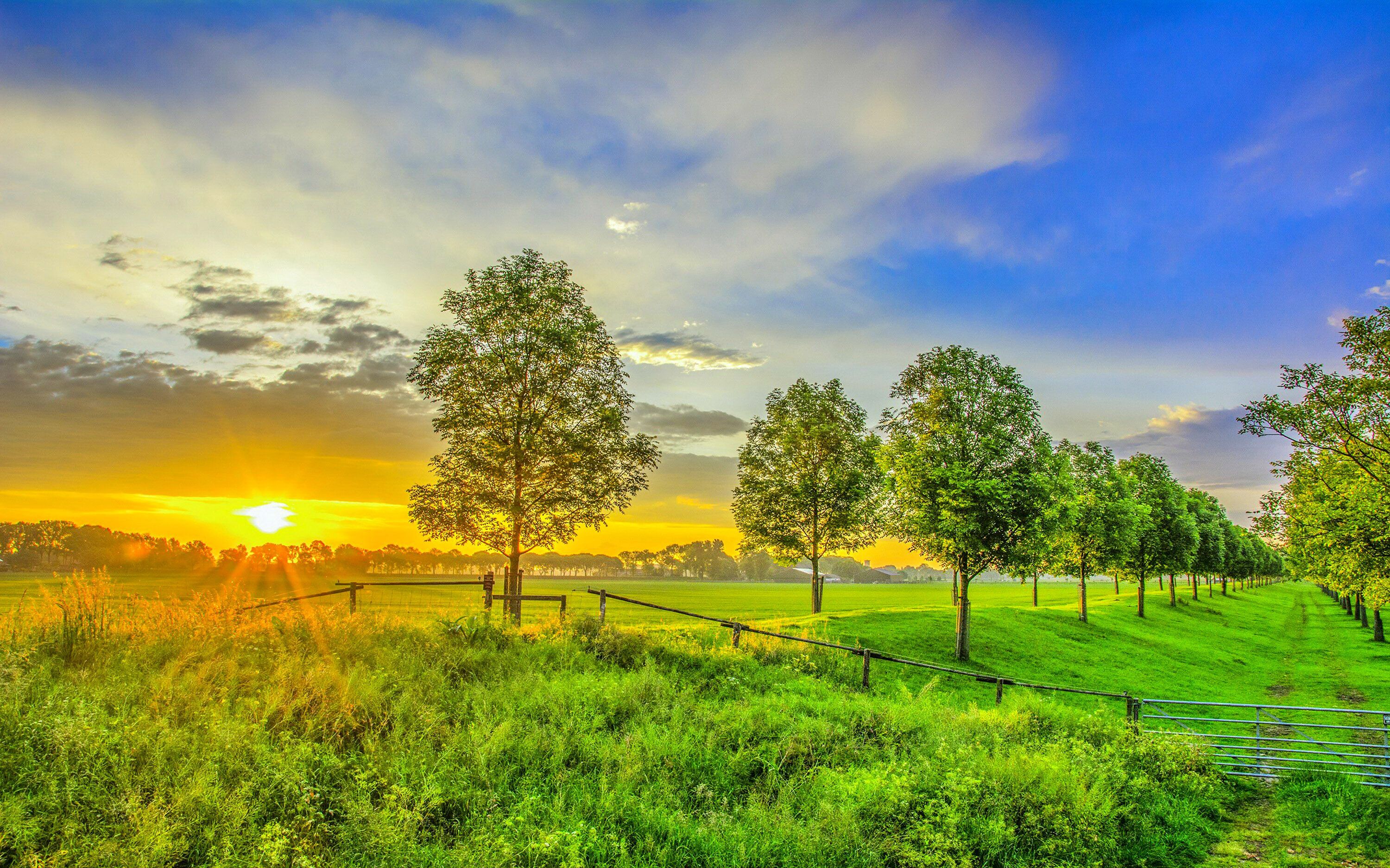 Greeny Landscape Sunrise 2021 Wallpapers