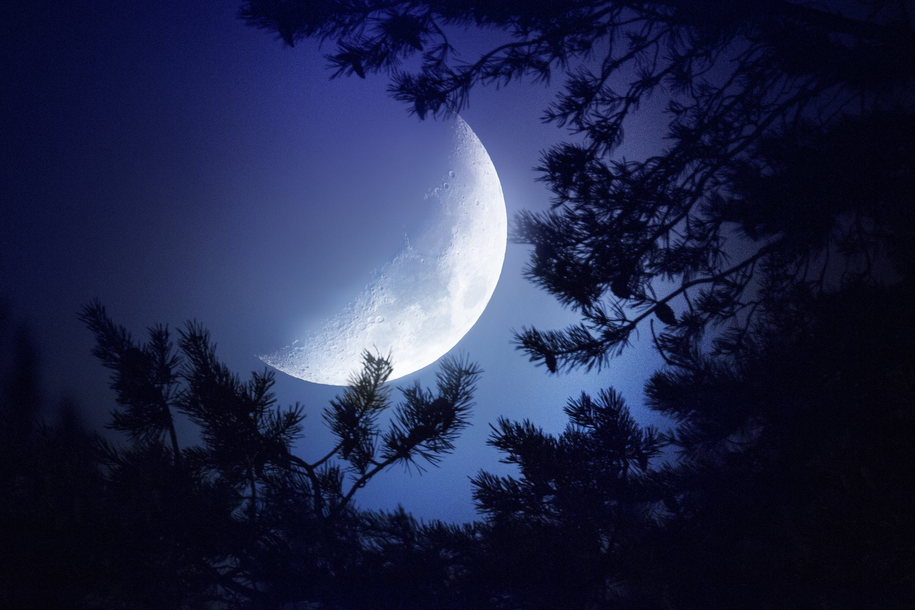 Half Moon Dark Night Wallpapers