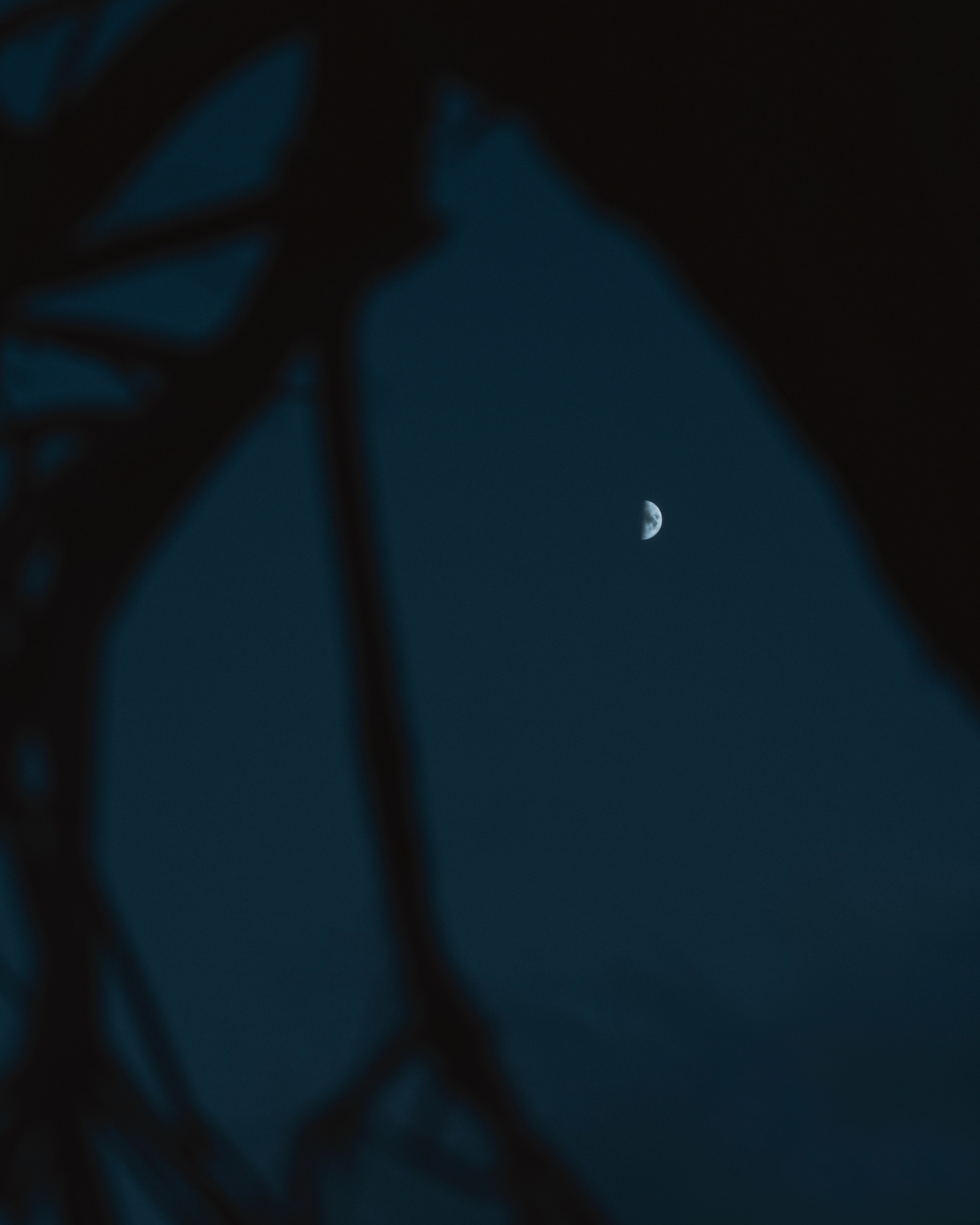 Half Moon Dark Night Wallpapers