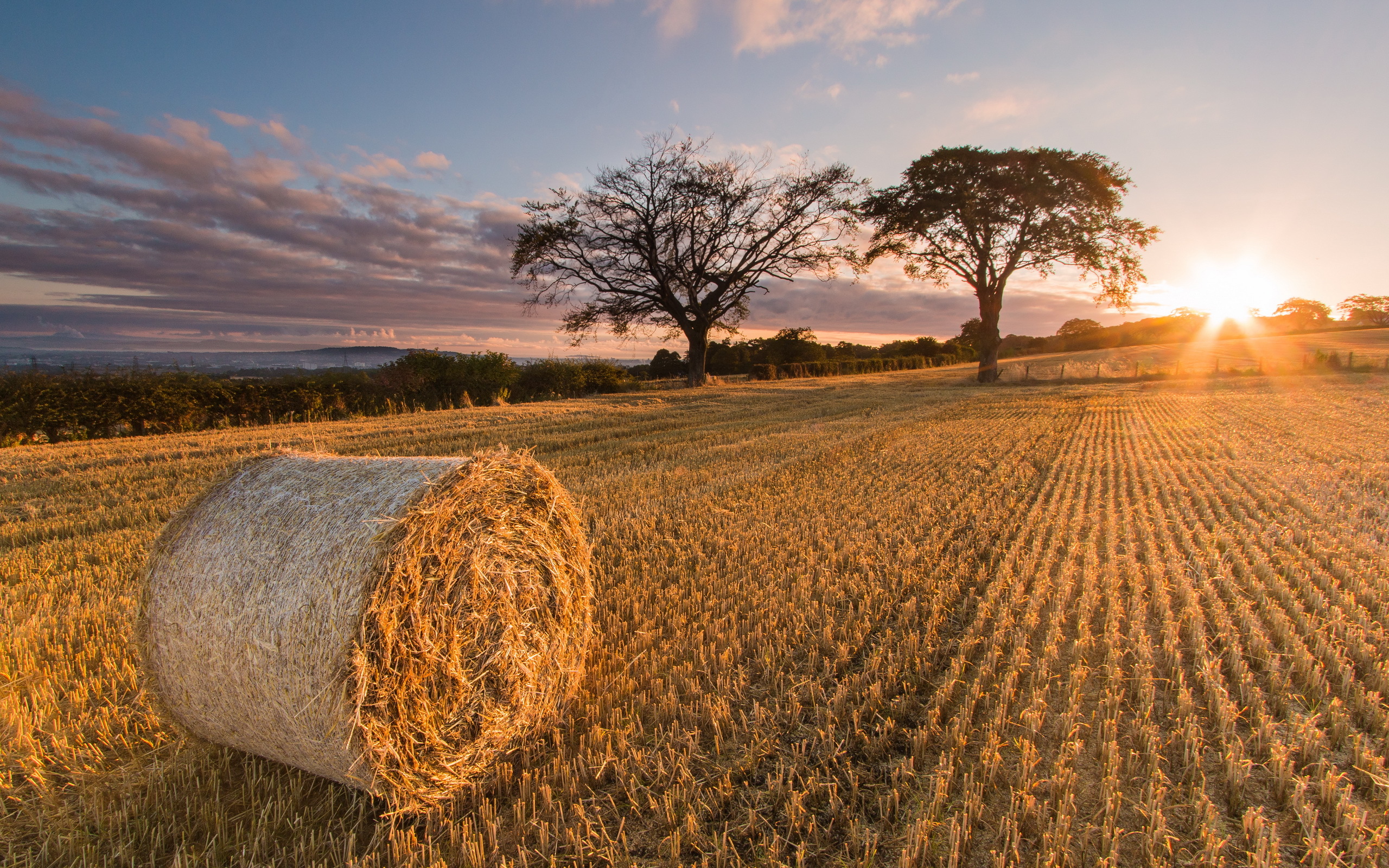 Haystack Wallpapers