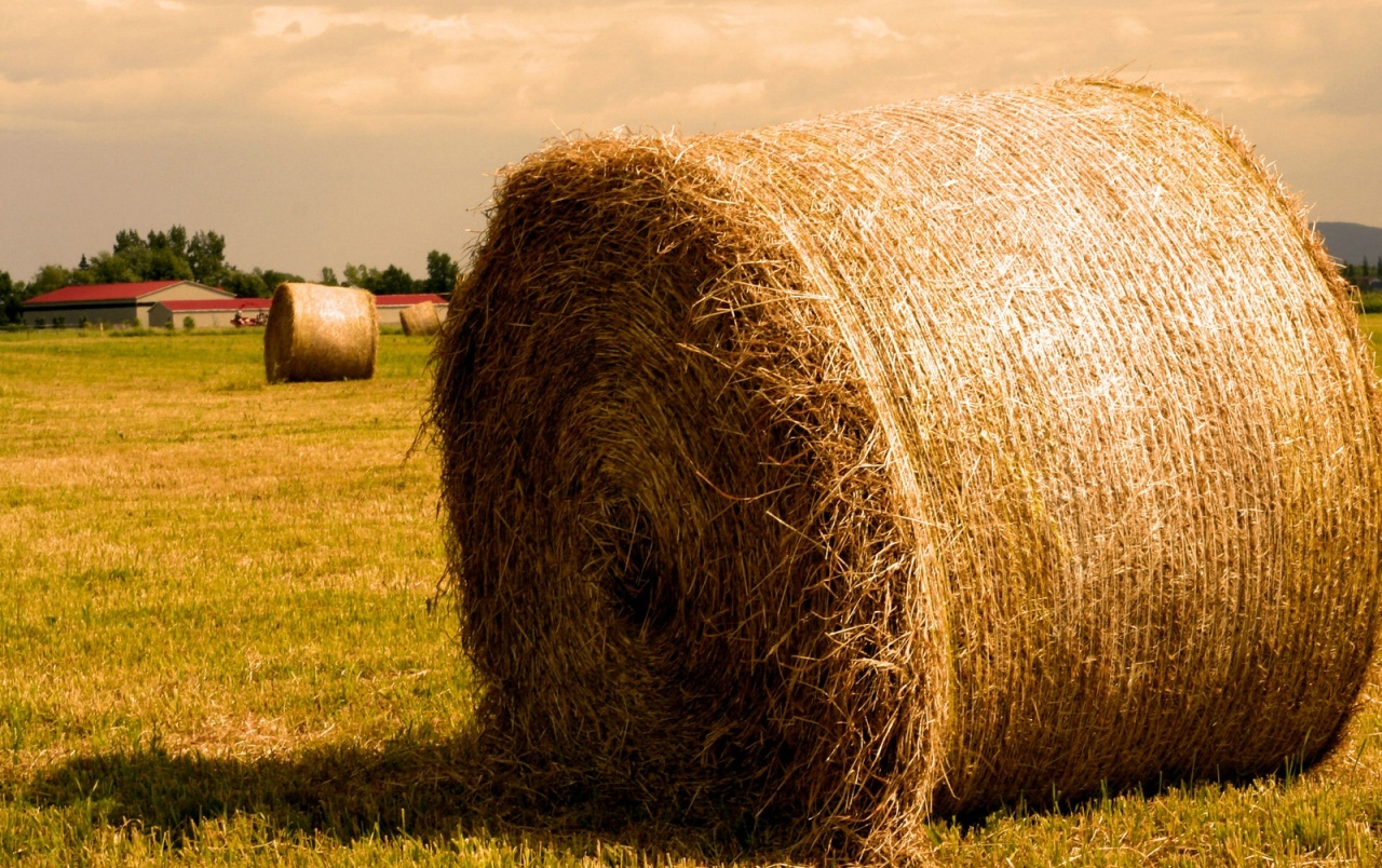 Haystack Wallpapers