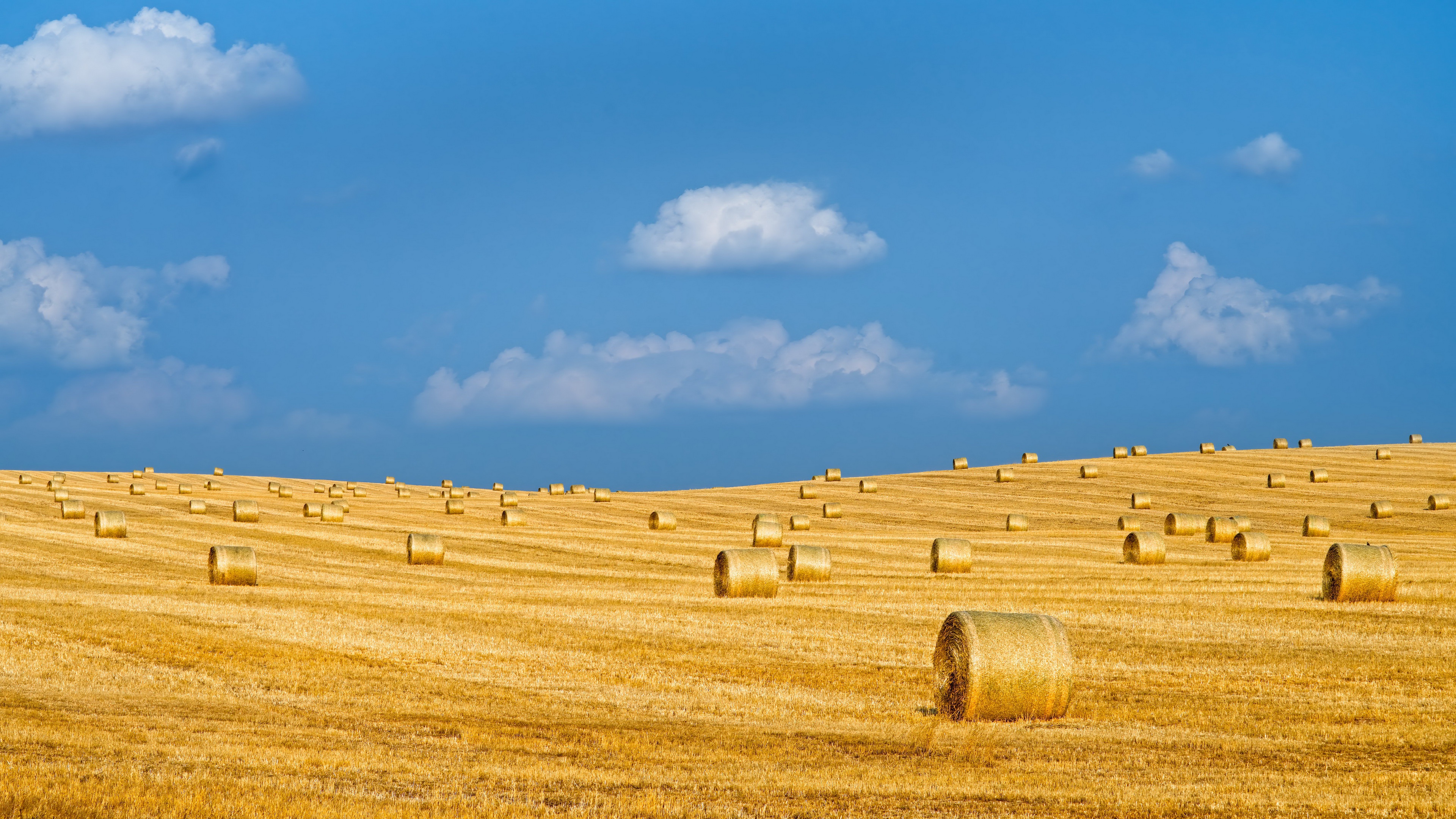 Haystack 4K Field Wallpapers