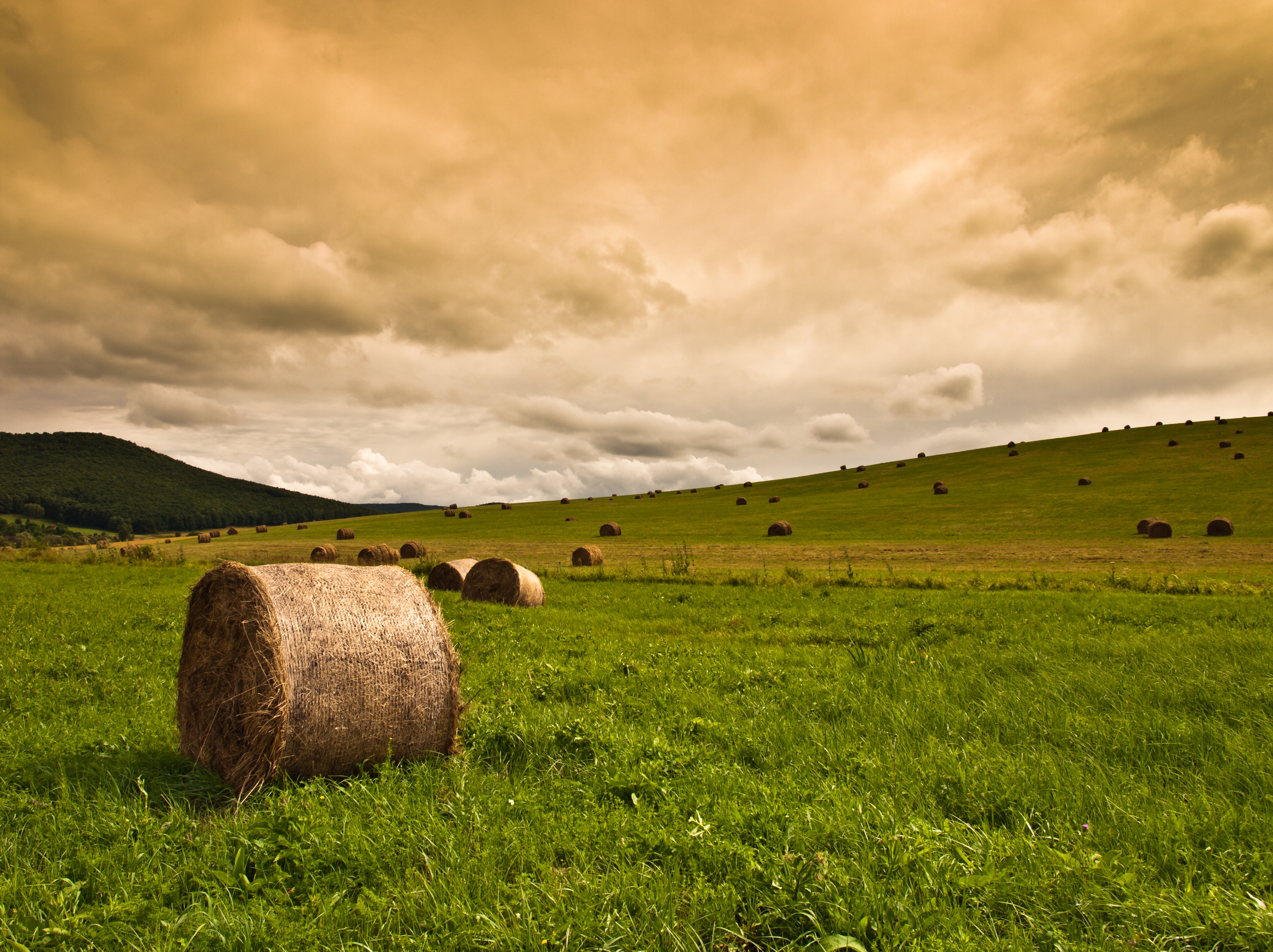 Haystack 4K Field Wallpapers