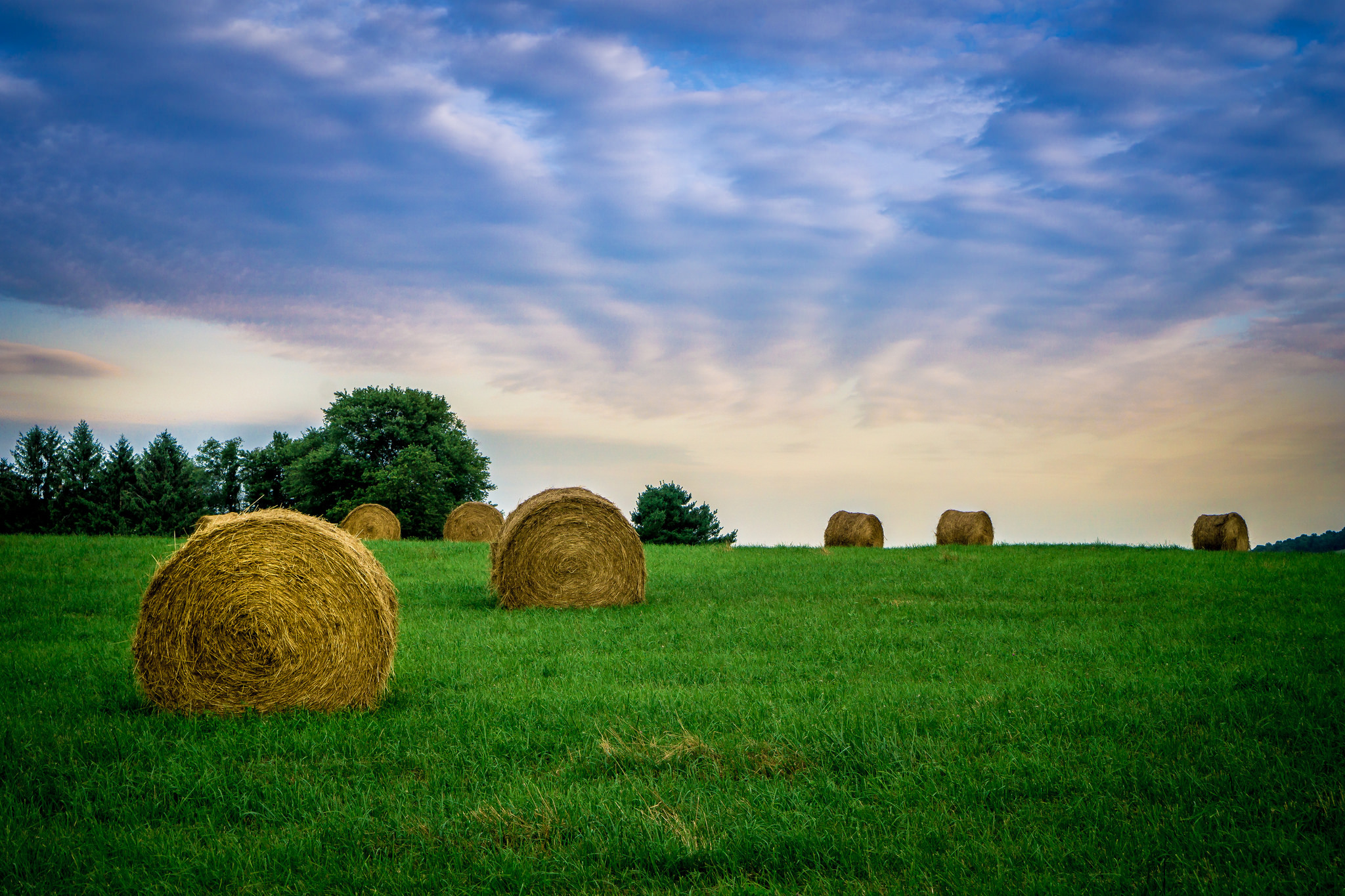 Haystack 4K Field Wallpapers