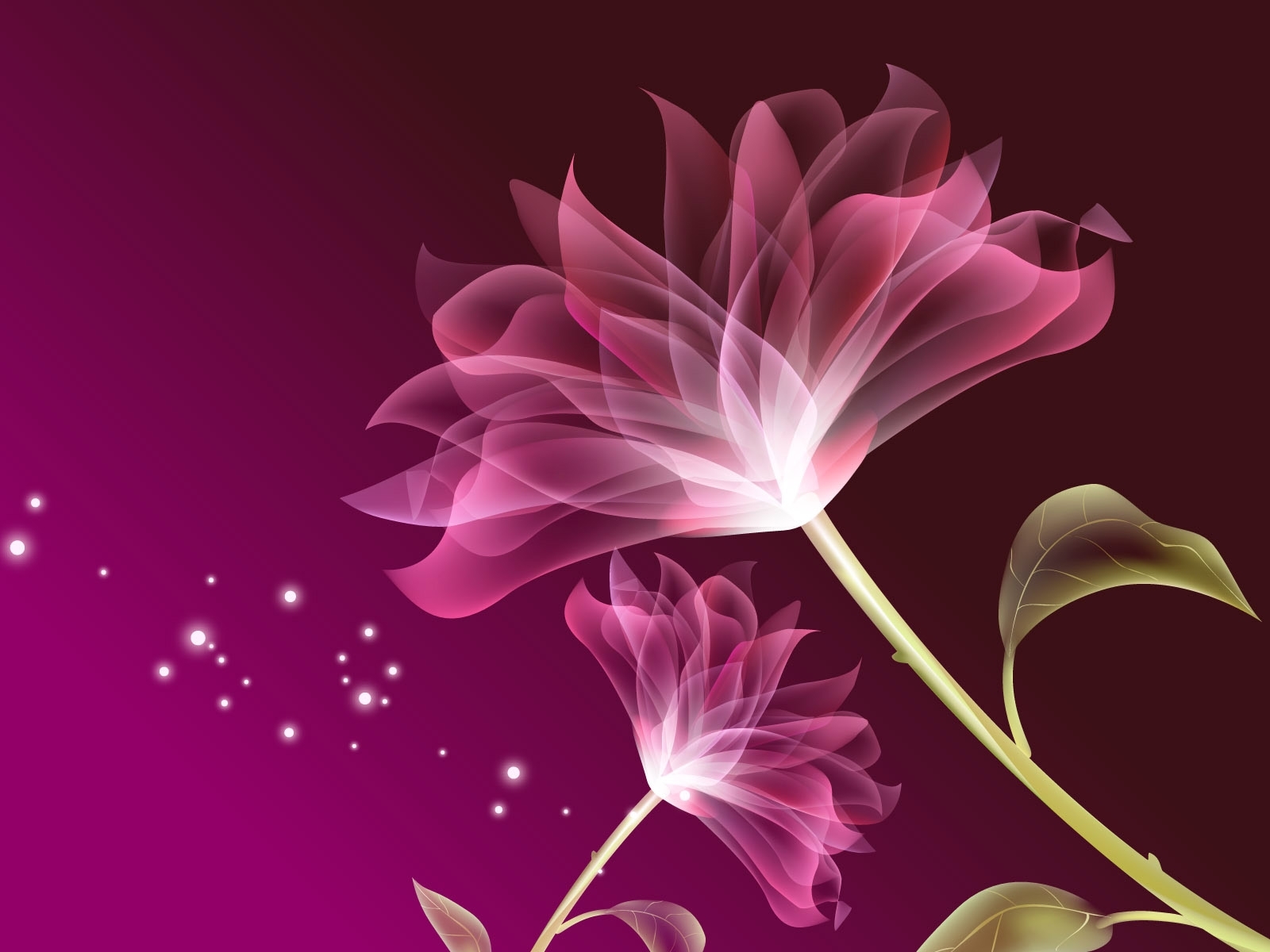 Hd Flowers Wallpapers