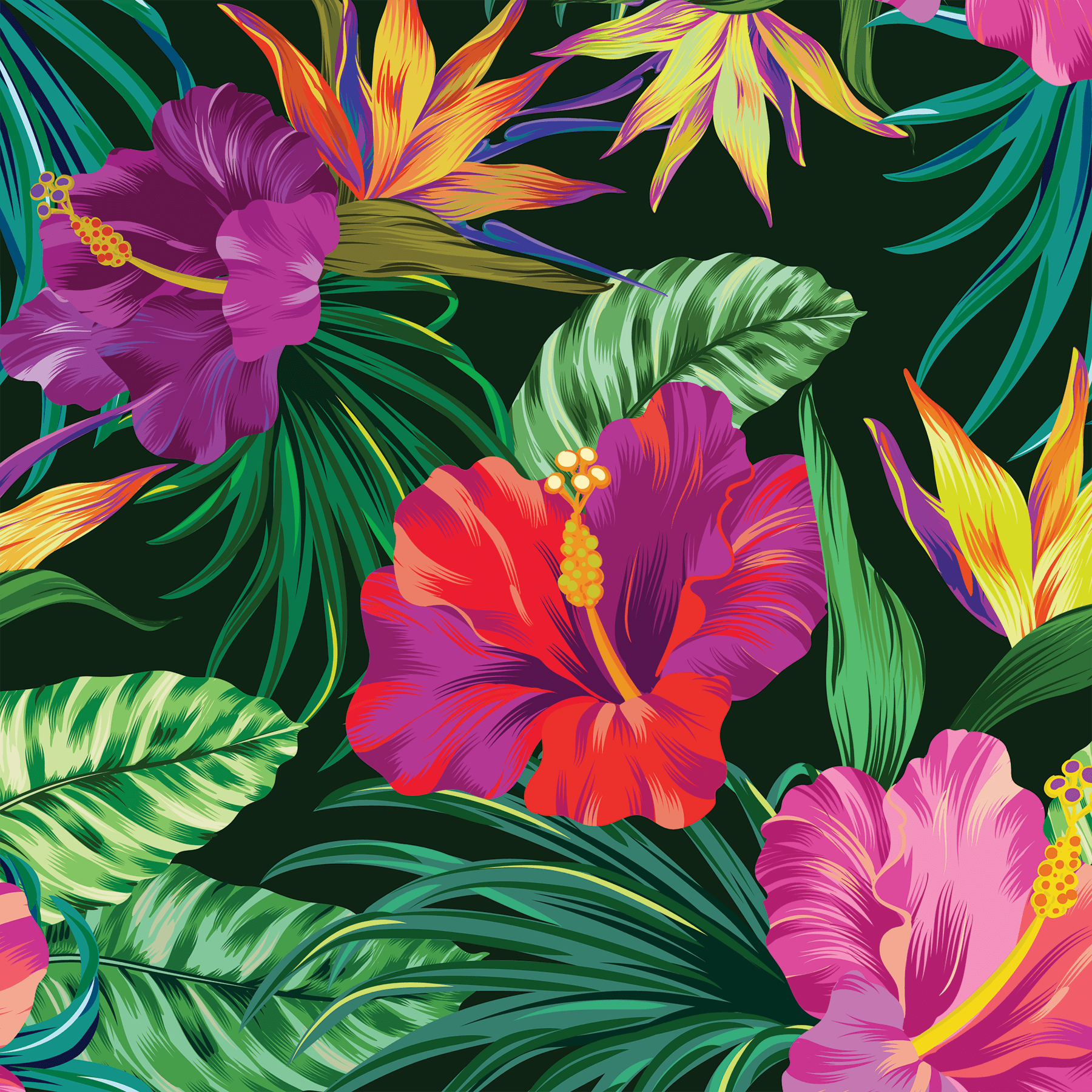 Hibiscus Wallpapers