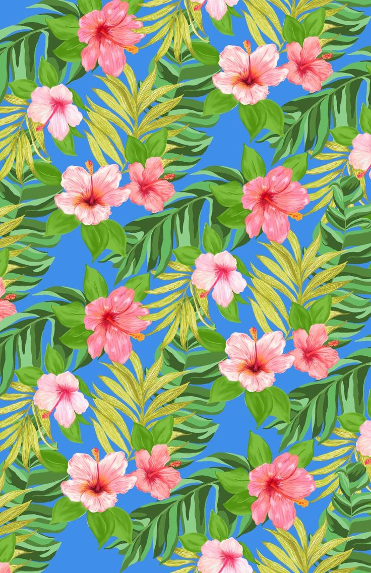 Hibiscus Wallpapers