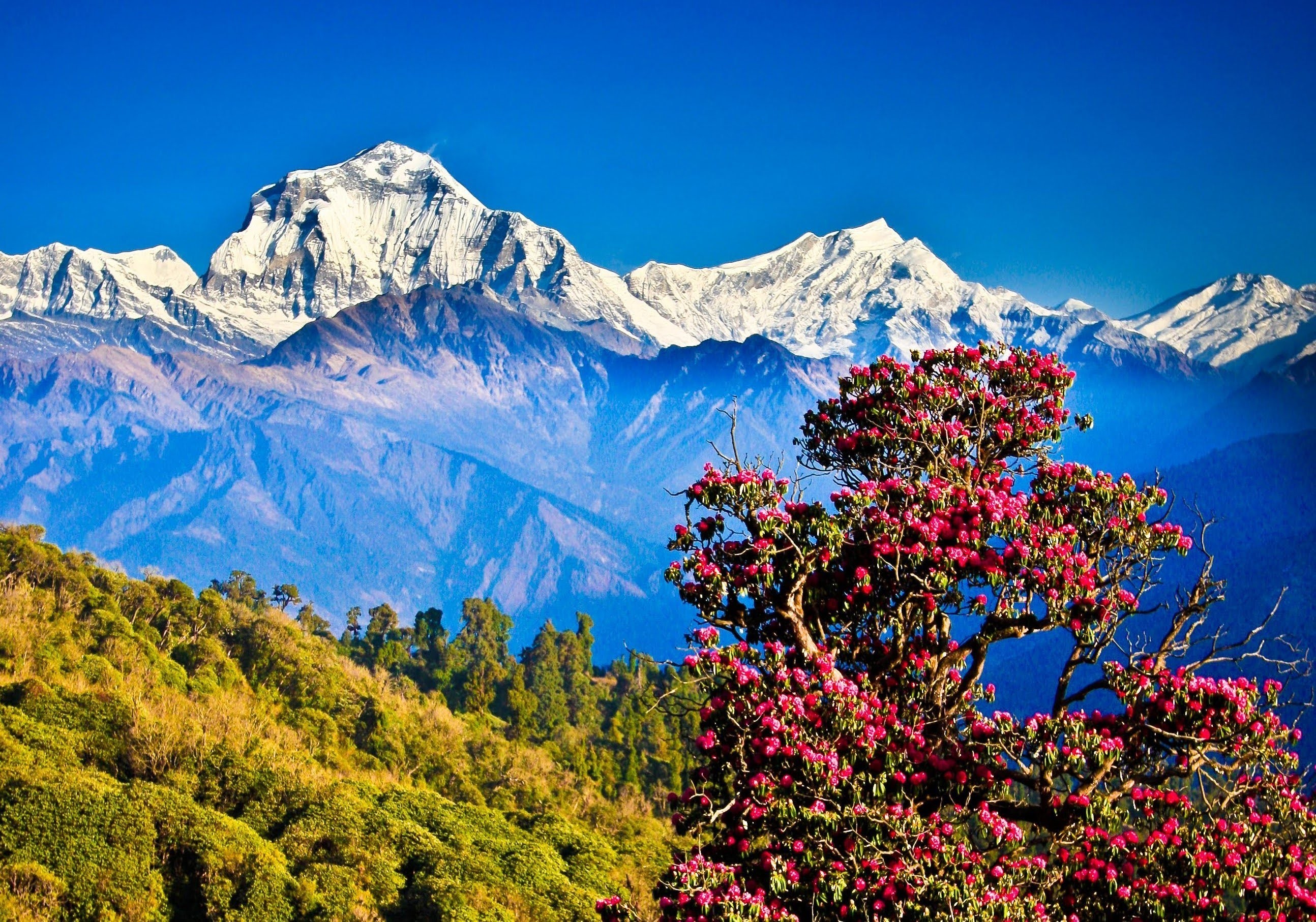 Himalayas Mountains Nepal Region Wallpapers