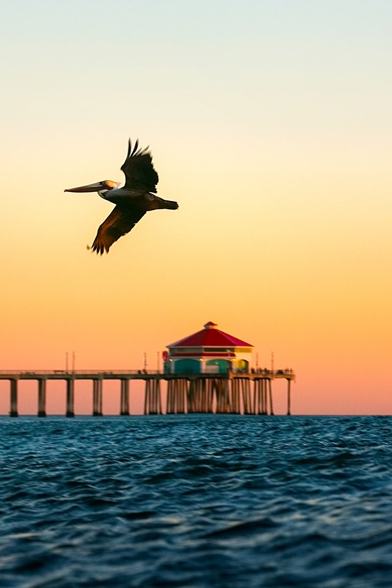 Huntington Beach Sunrise Wallpapers