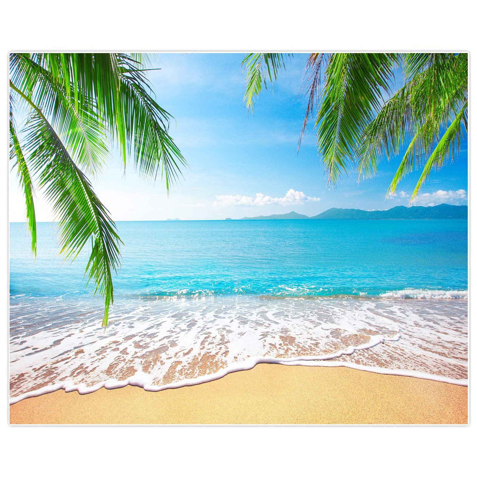 Tropical Summer Backgrounds