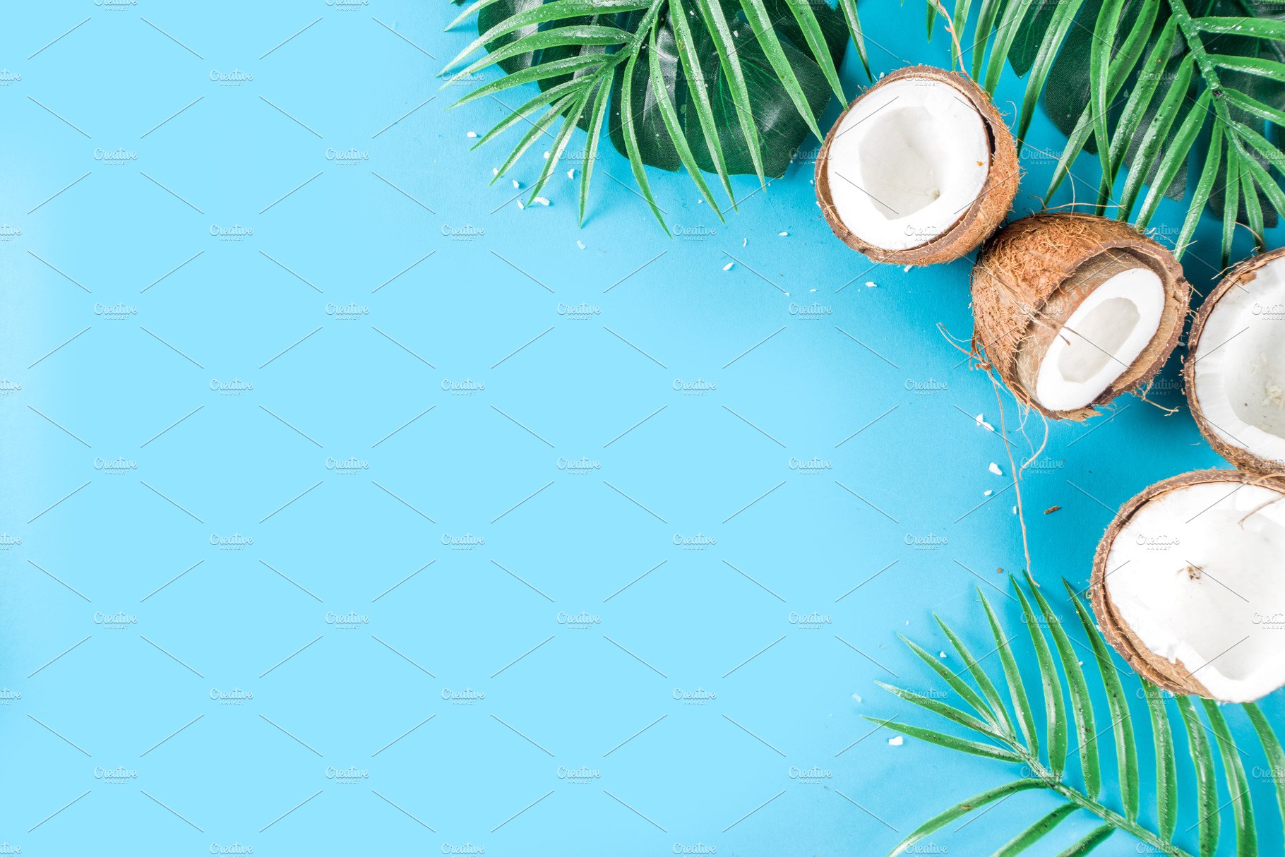 Tropical Summer Backgrounds