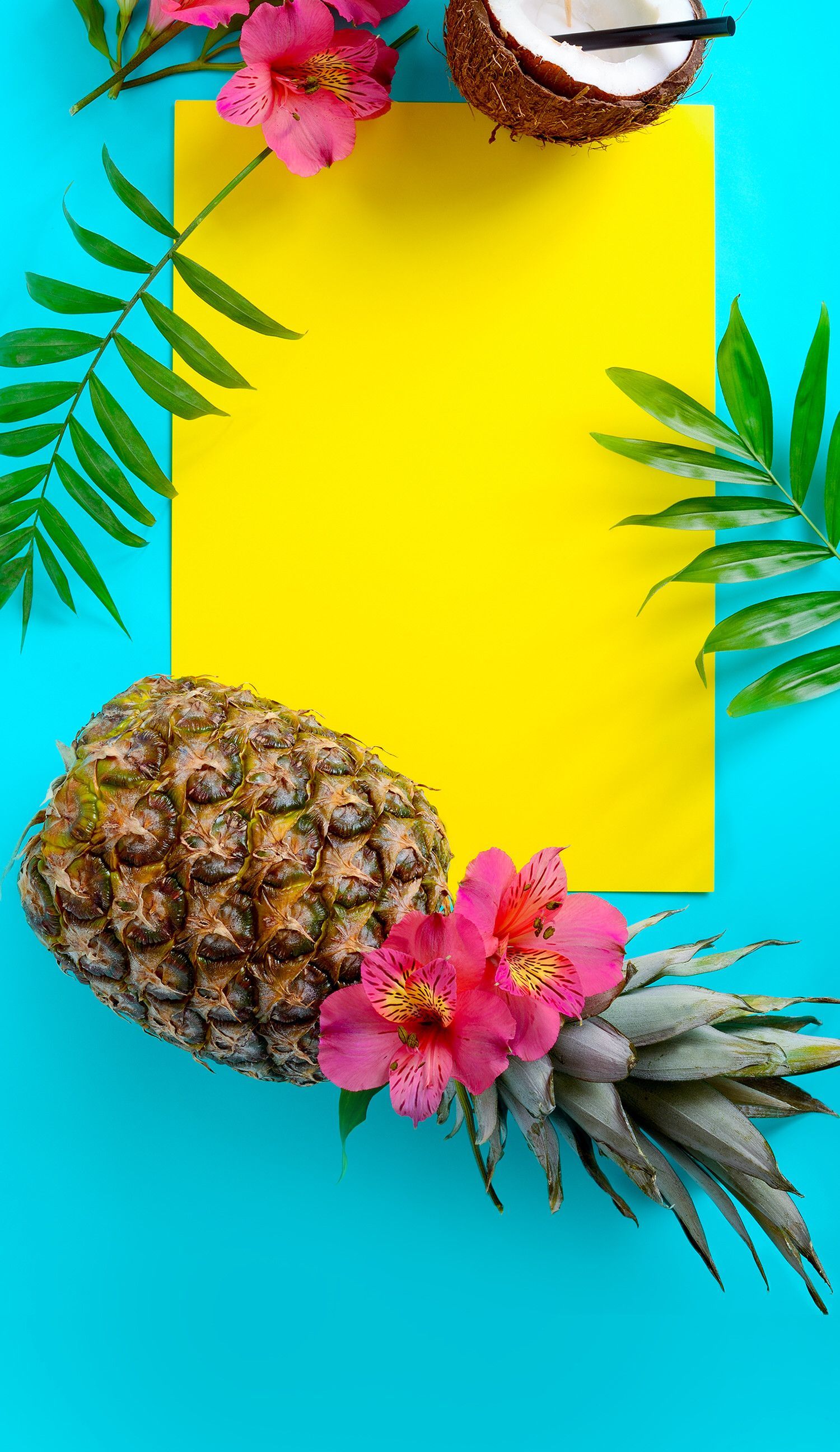 Tropical Summer Backgrounds