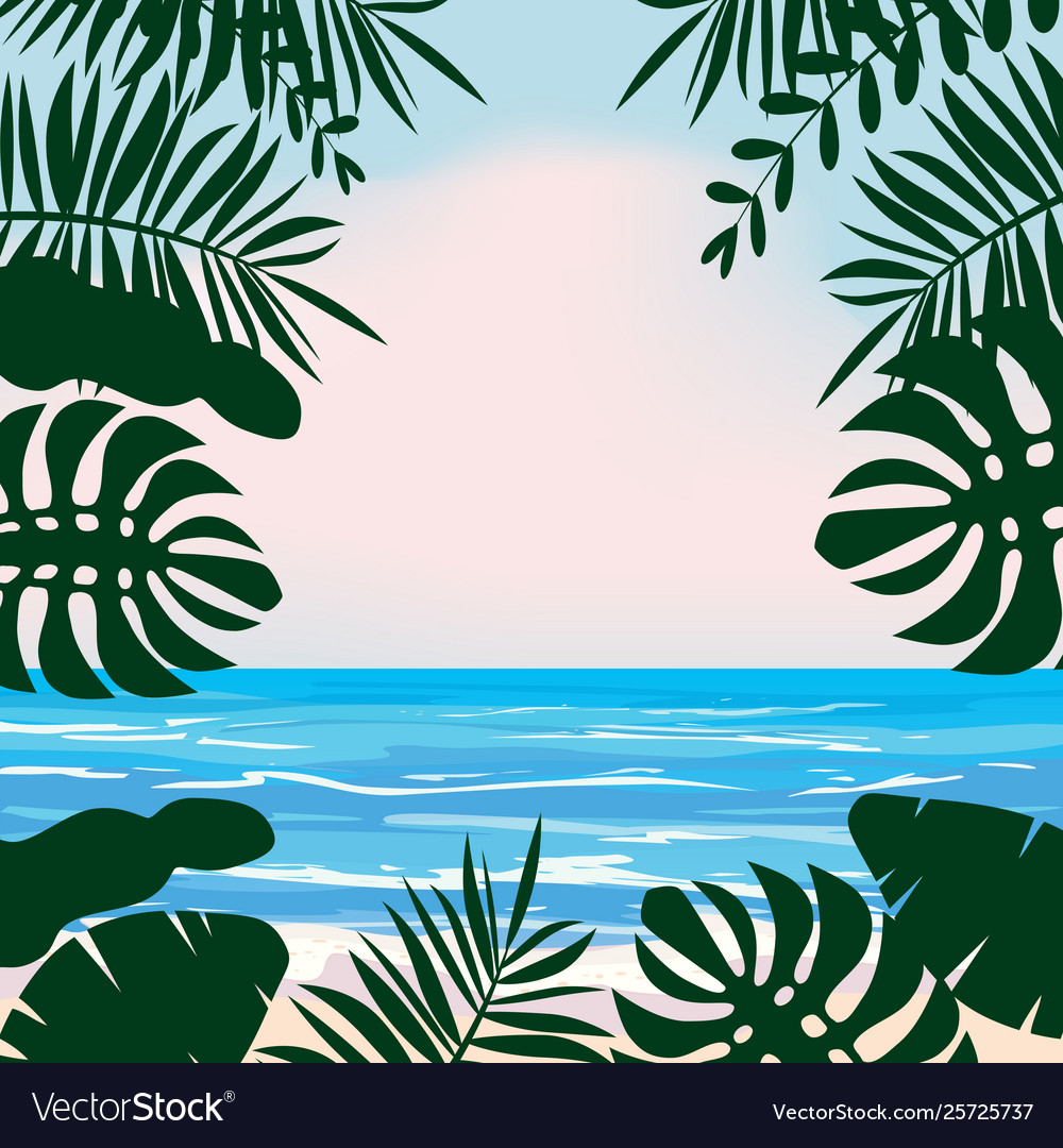 Tropical Summer Backgrounds