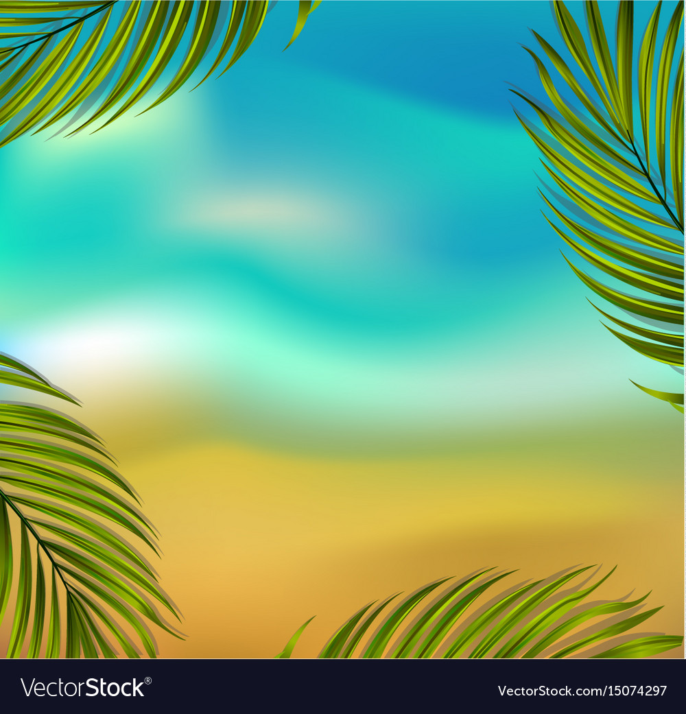 Tropical Summer Backgrounds