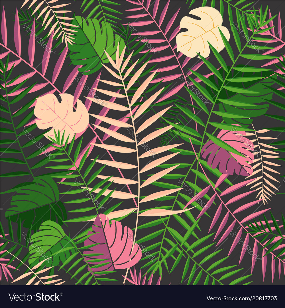 Tropical Summer Backgrounds