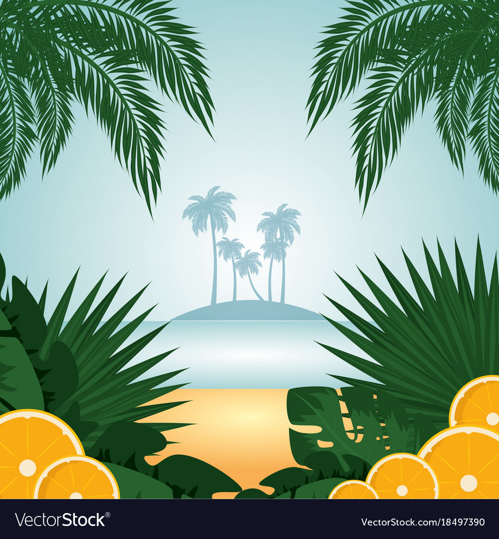 Tropical Summer Backgrounds