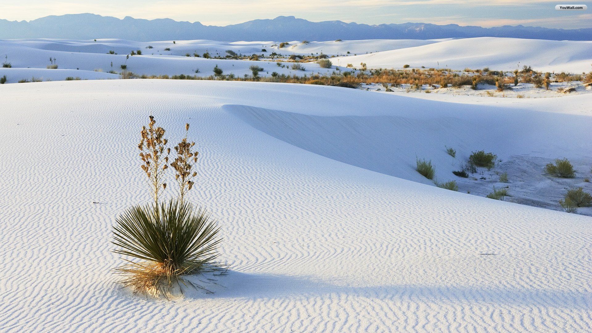 Ice Desert Wallpapers