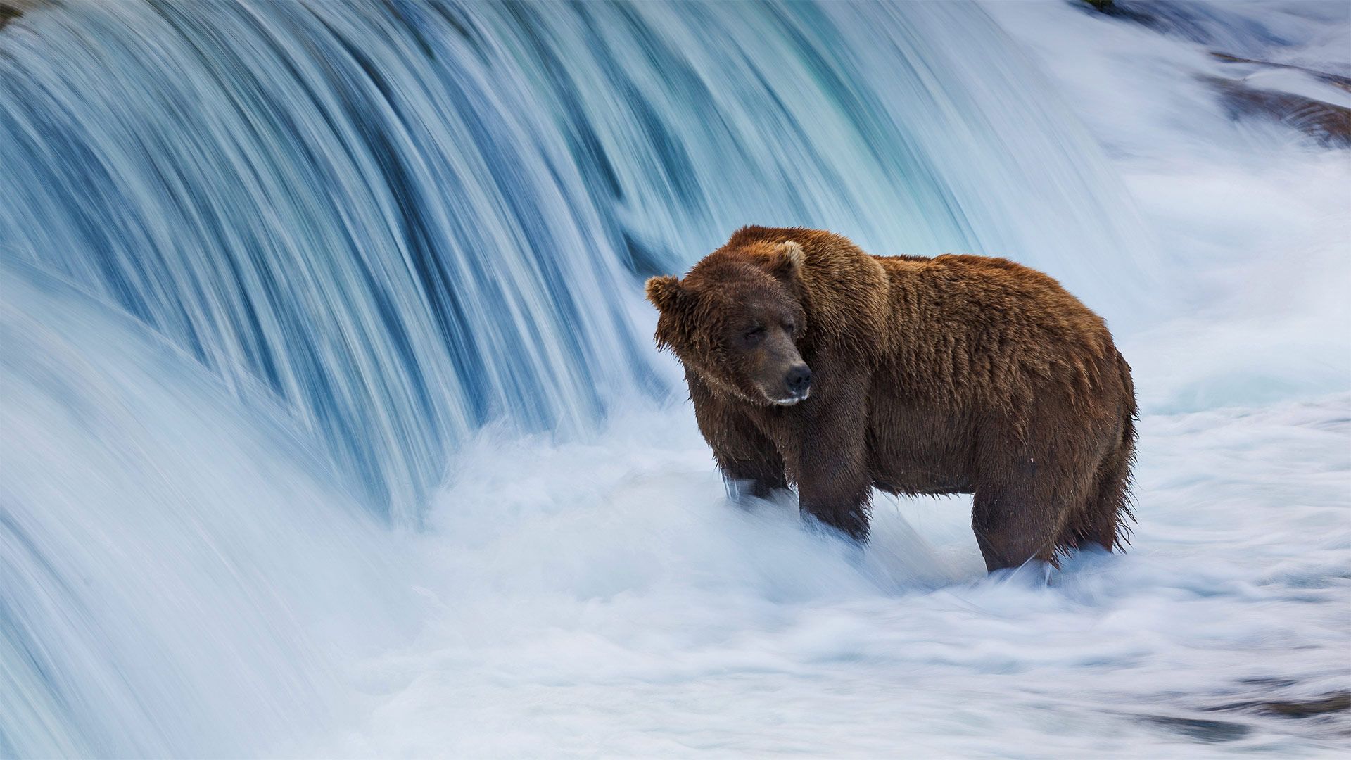 Katmai National Park And Preserve Wallpapers