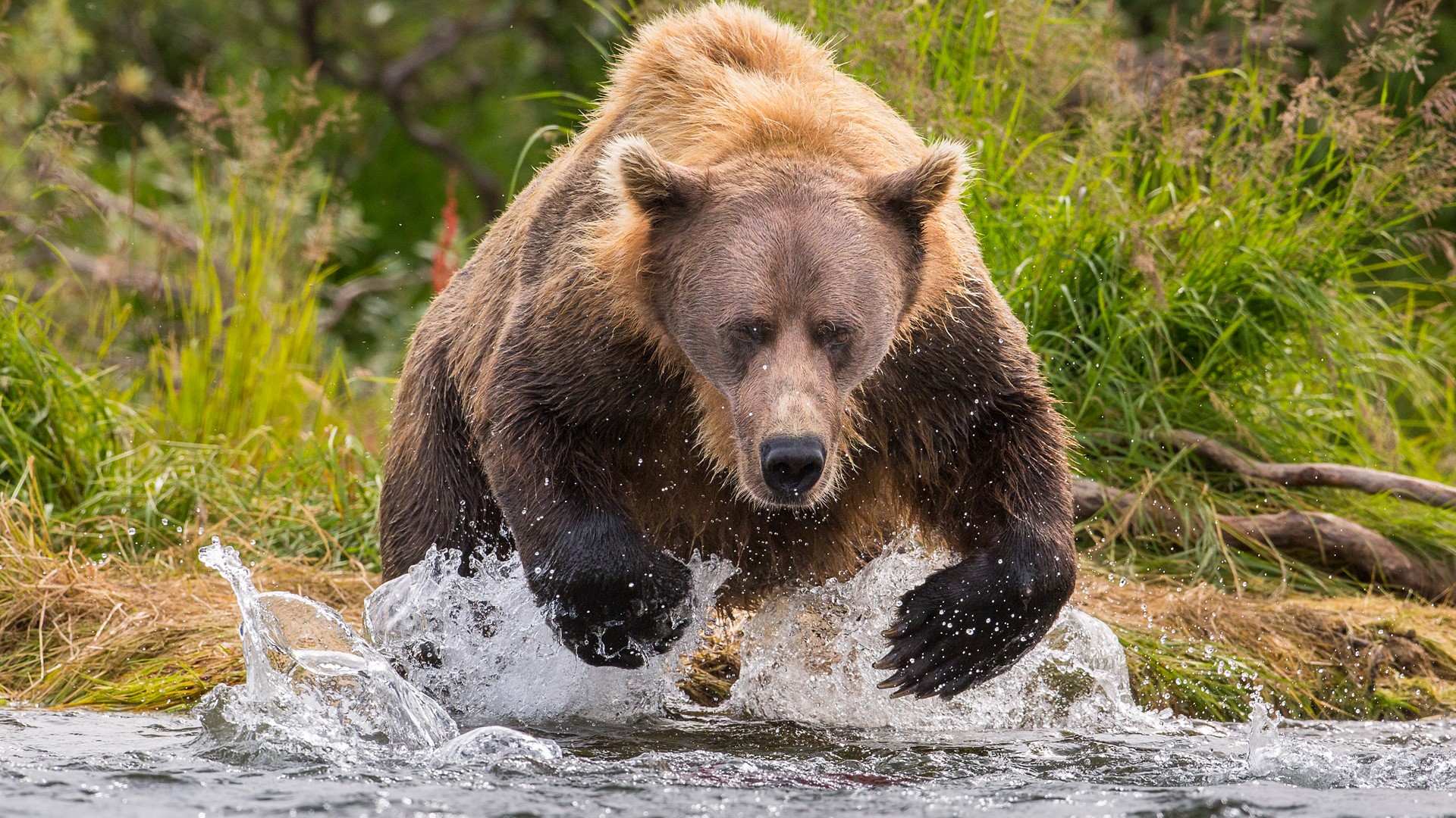 Katmai National Park And Preserve Wallpapers
