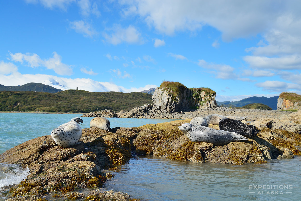 Katmai National Park And Preserve Wallpapers