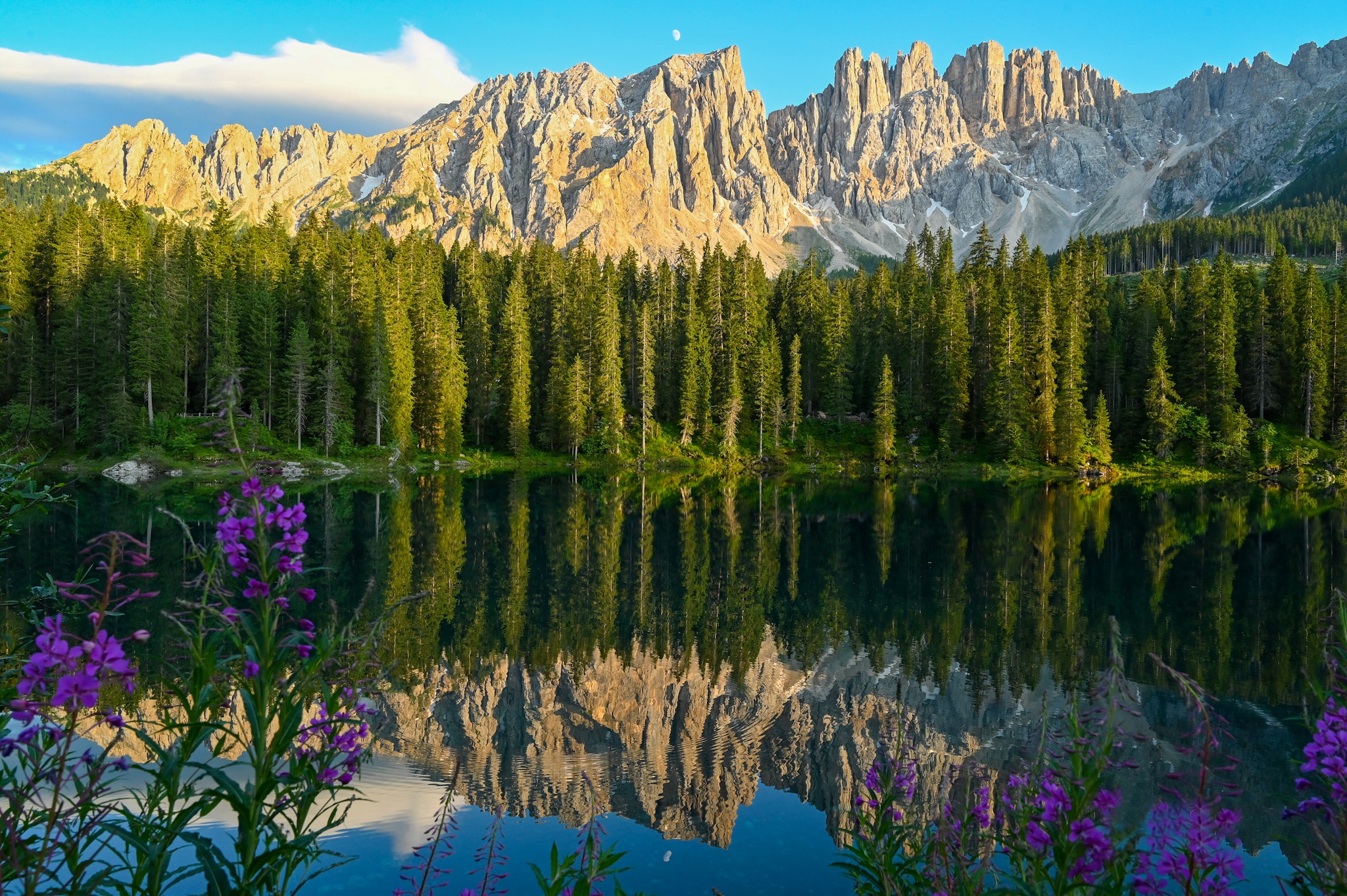 Lake Carezza Wallpapers