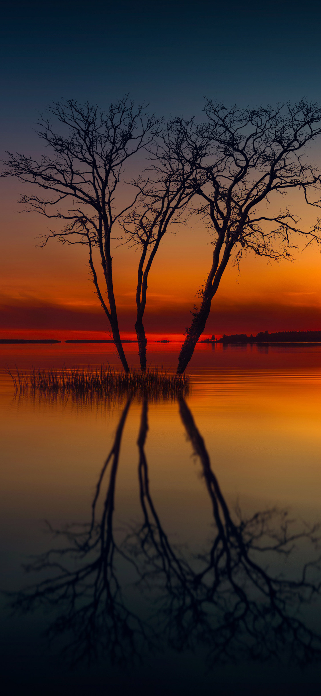 Lake Reflection Scenic Horizon Wallpapers