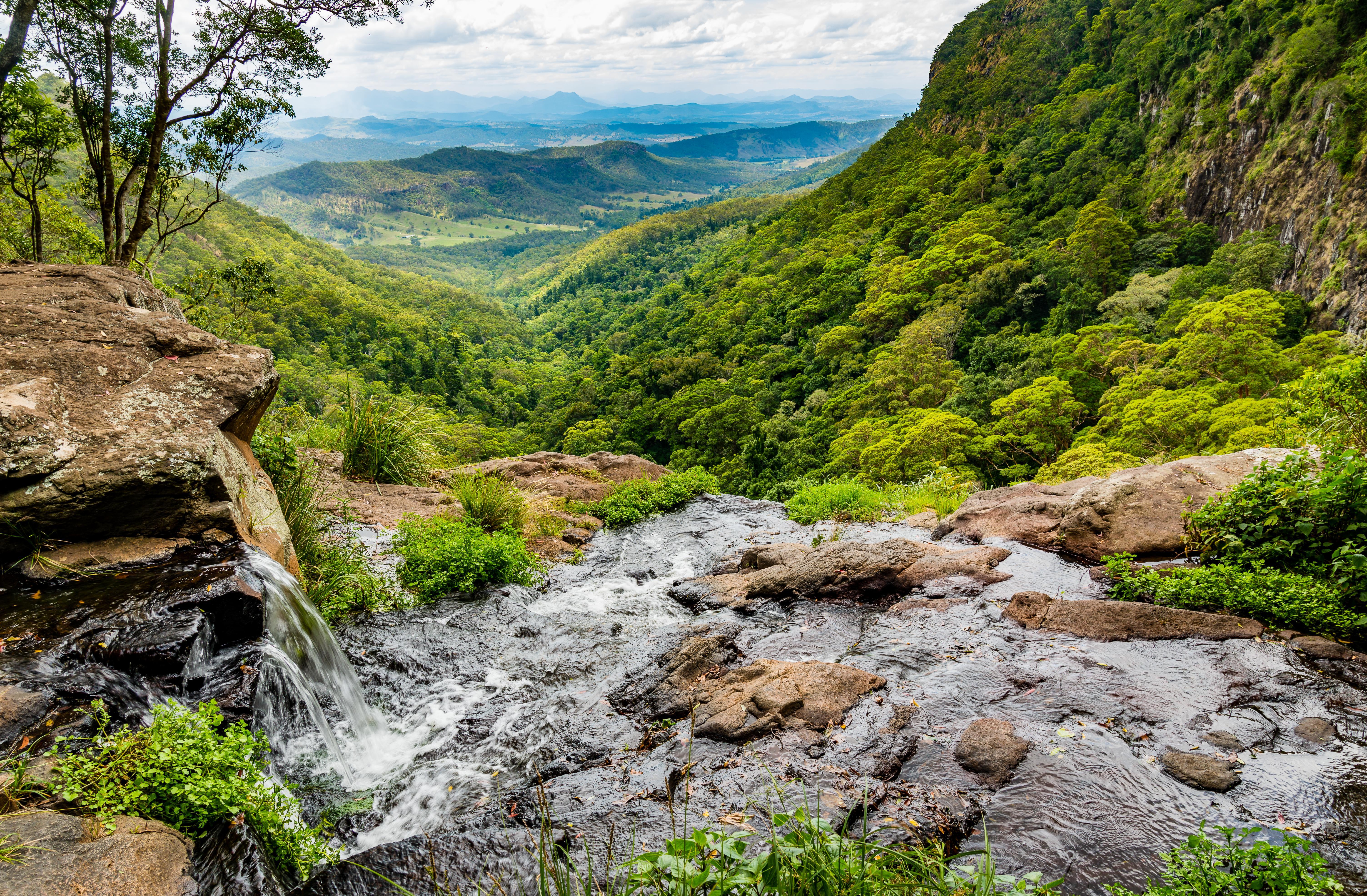 Lamington National Park Wallpapers