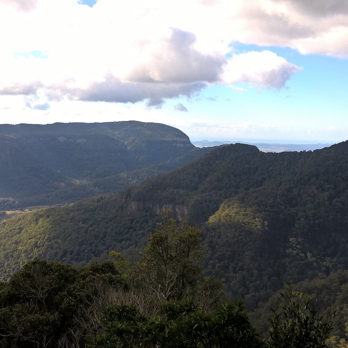 Lamington National Park Wallpapers