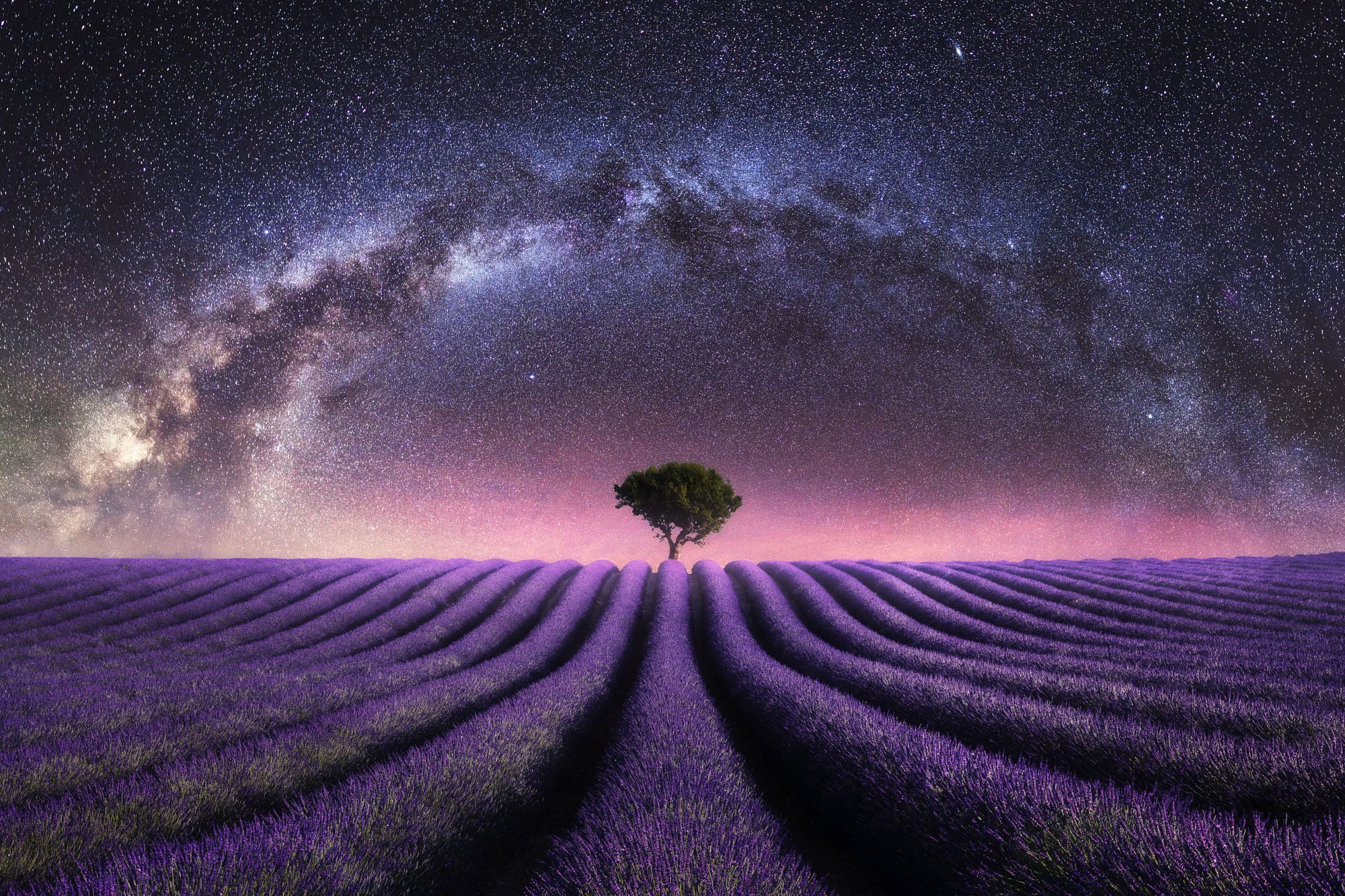 Lavender Field At Starry Night Wallpapers