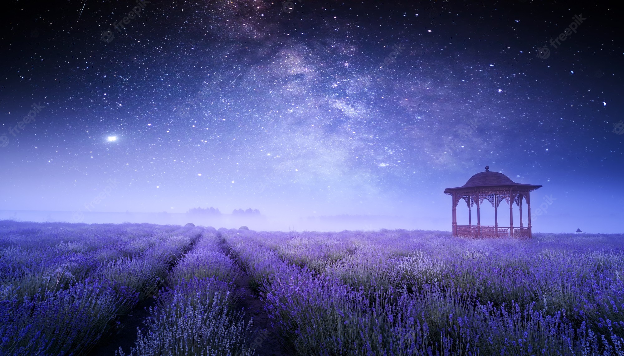 Lavender Field At Starry Night Wallpapers