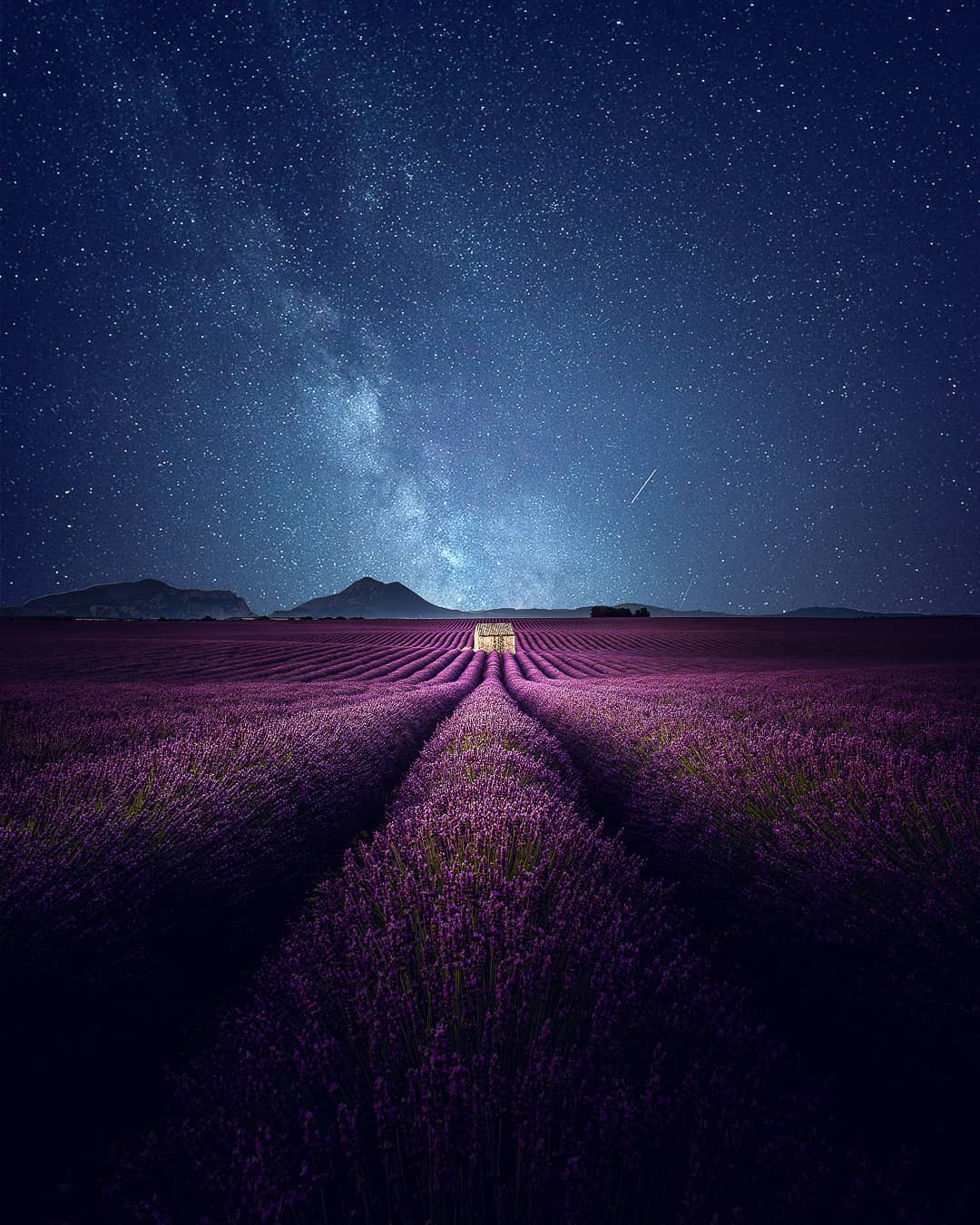 Lavender Field At Starry Night Wallpapers