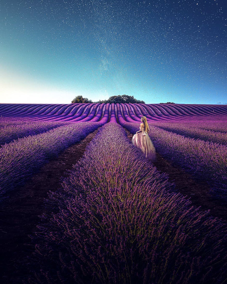 Lavender Field At Starry Night Wallpapers