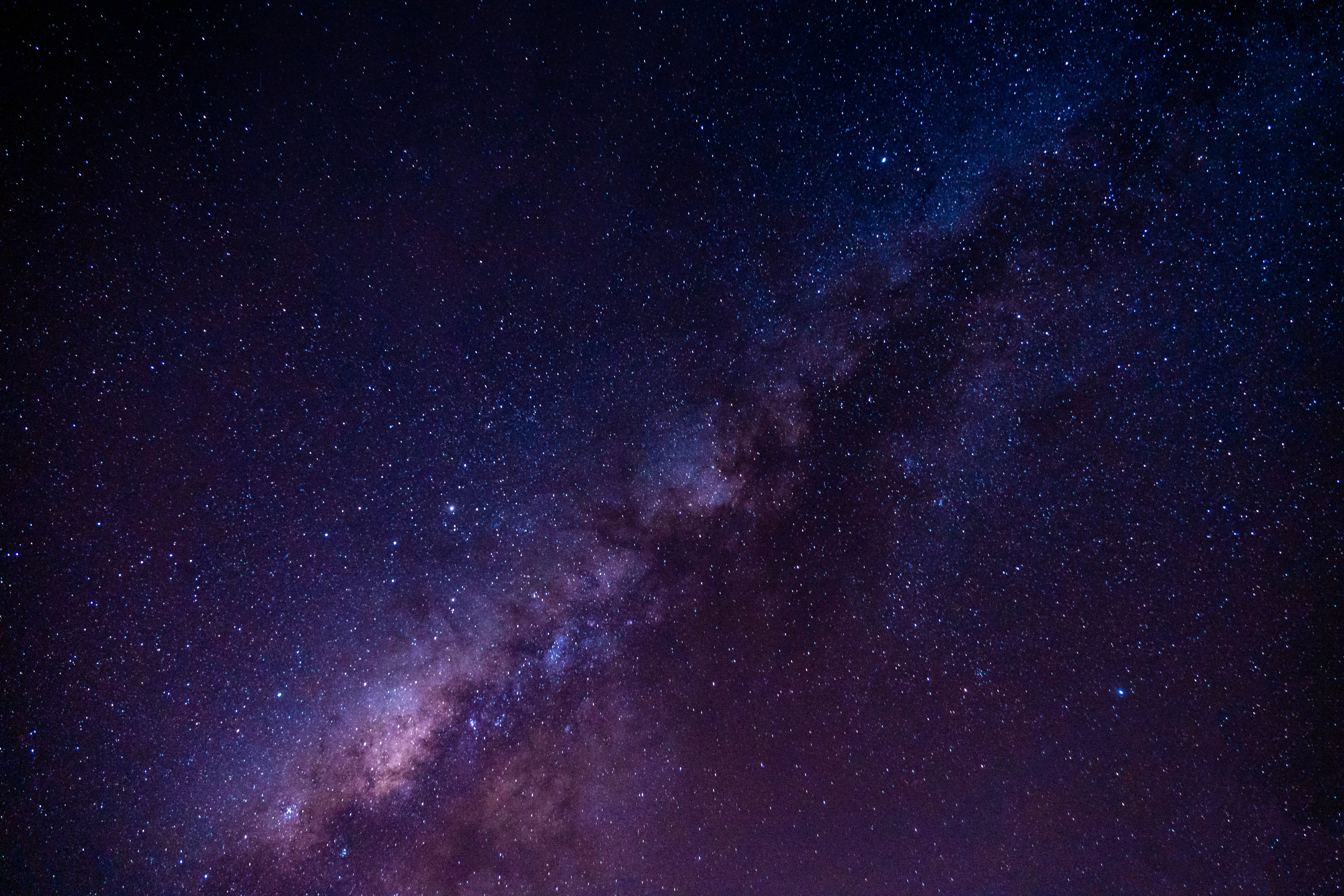 Lavender Field At Starry Night Wallpapers