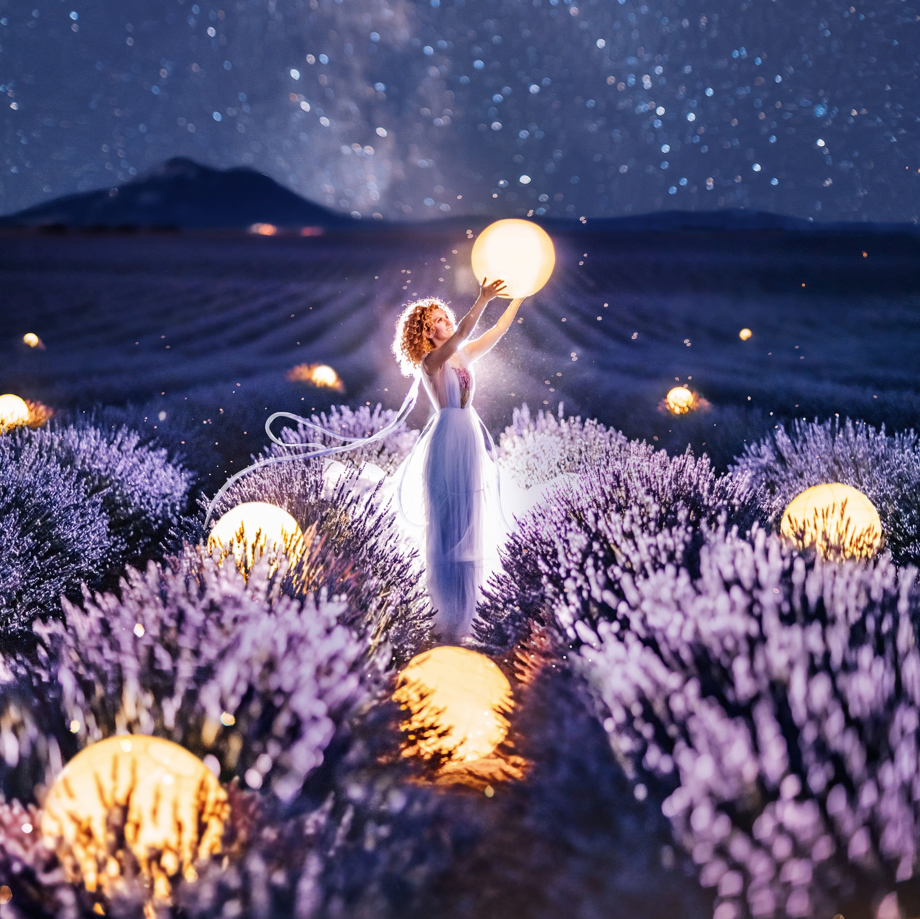 Lavender Field At Starry Night Wallpapers