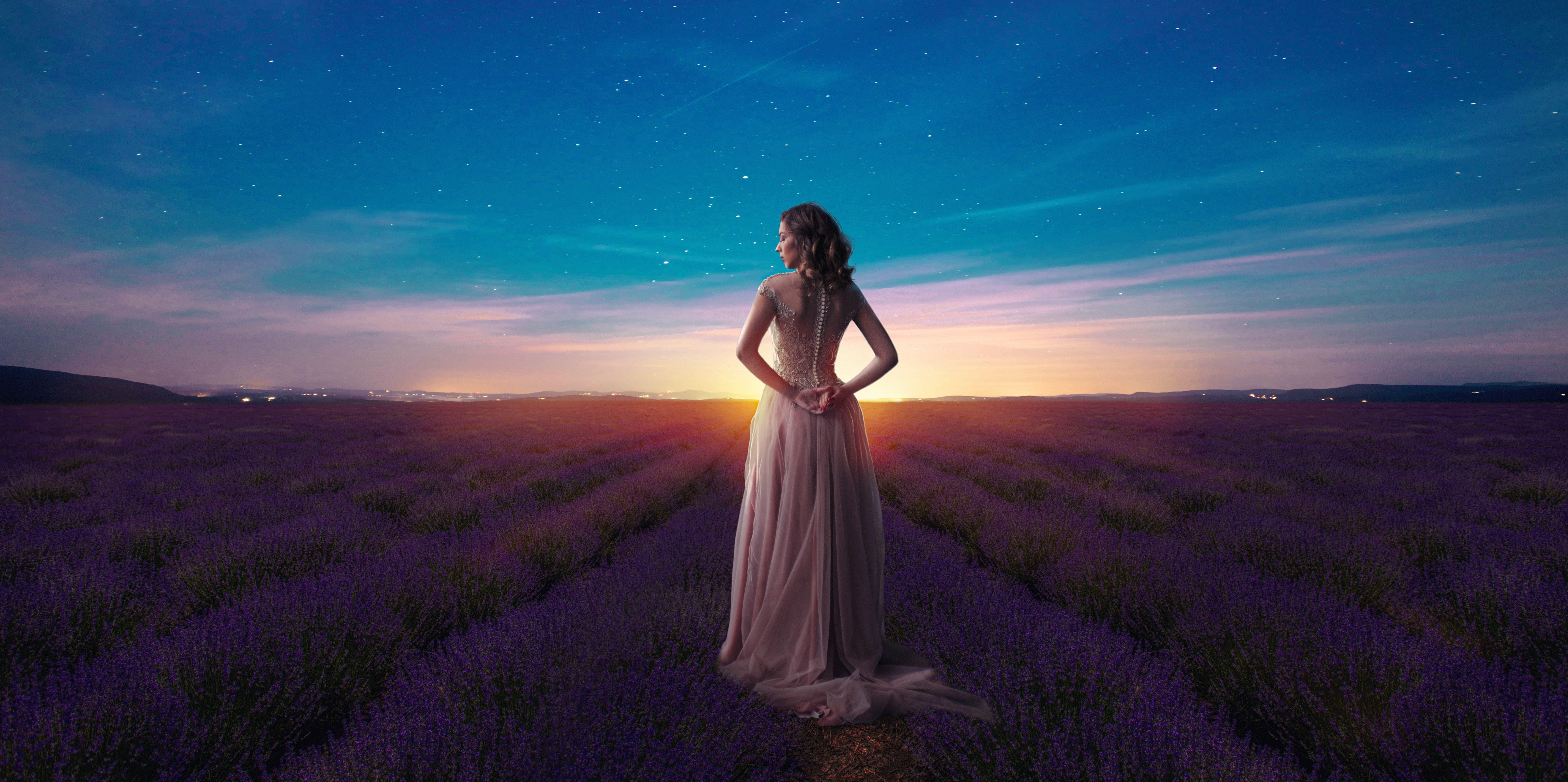 Lavender Field At Starry Night Wallpapers