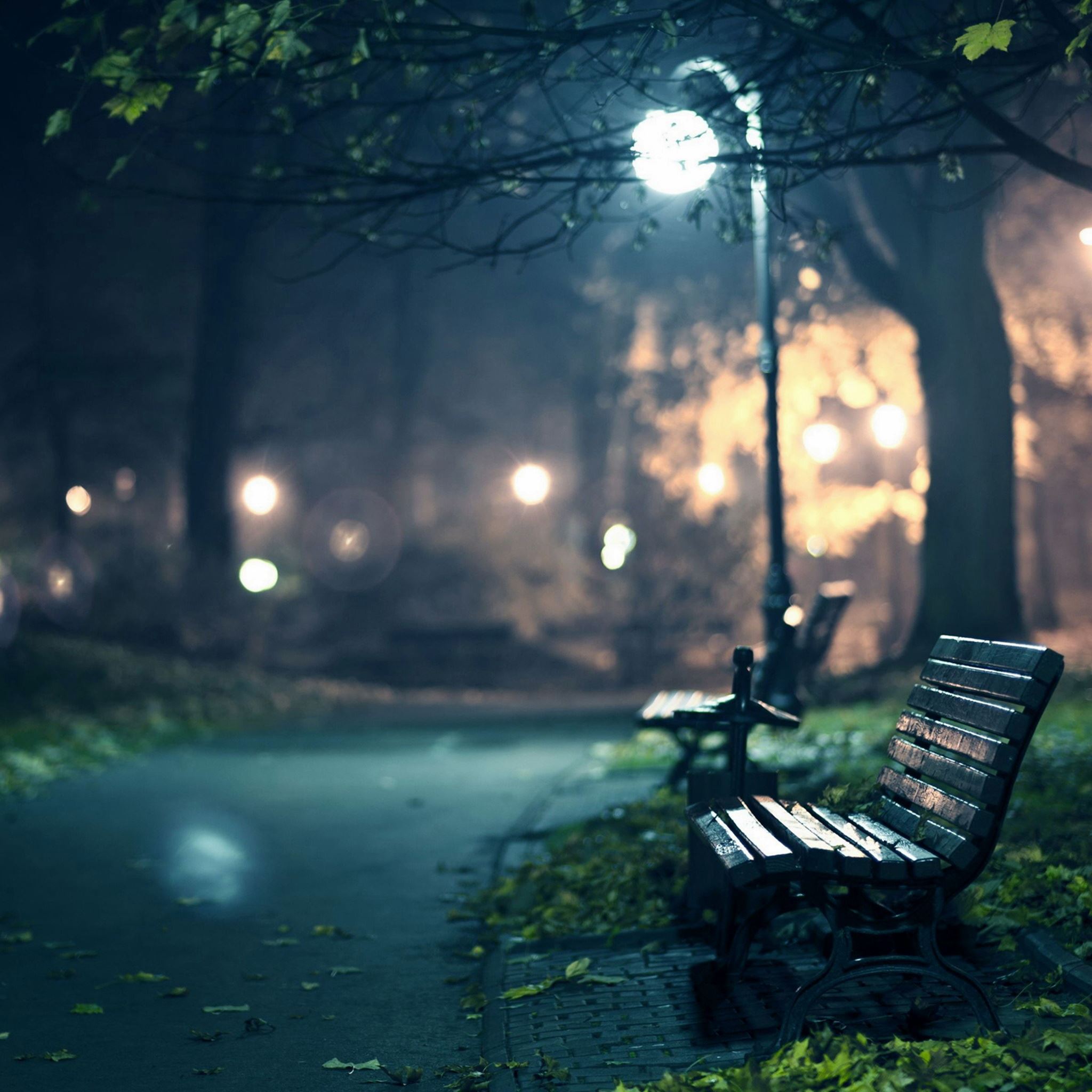 Lonely Street Lights Road Wallpapers