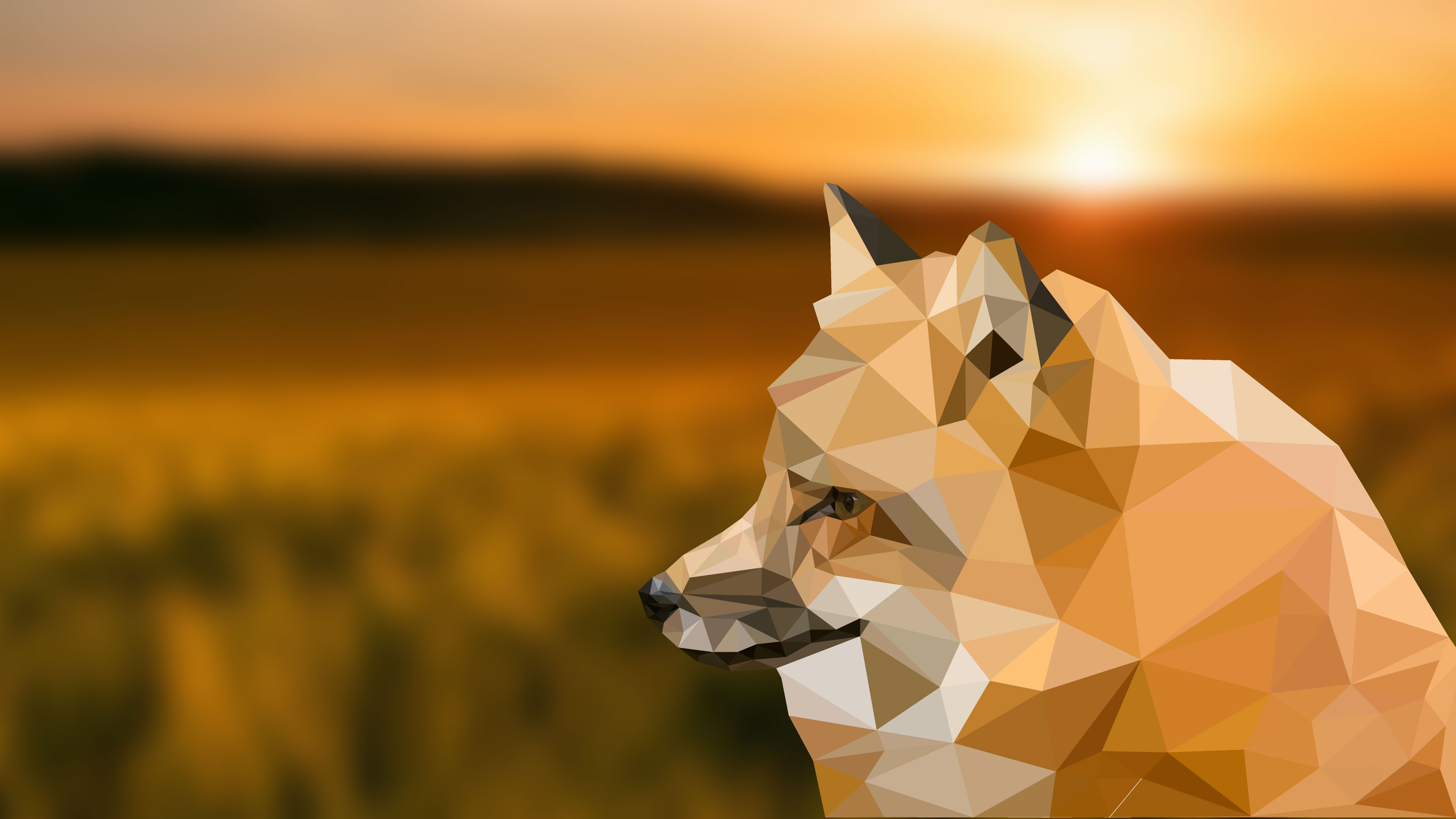 Low Poly Sunset Wallpapers