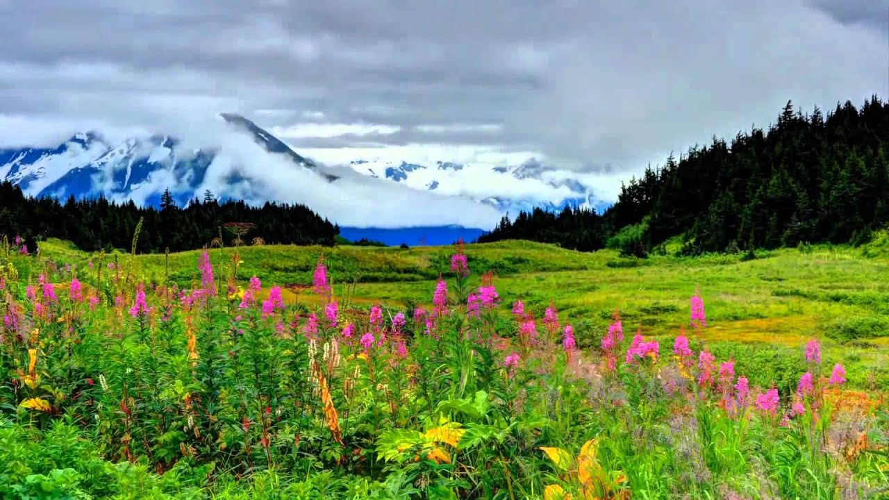 Alaska Summer Wallpapers