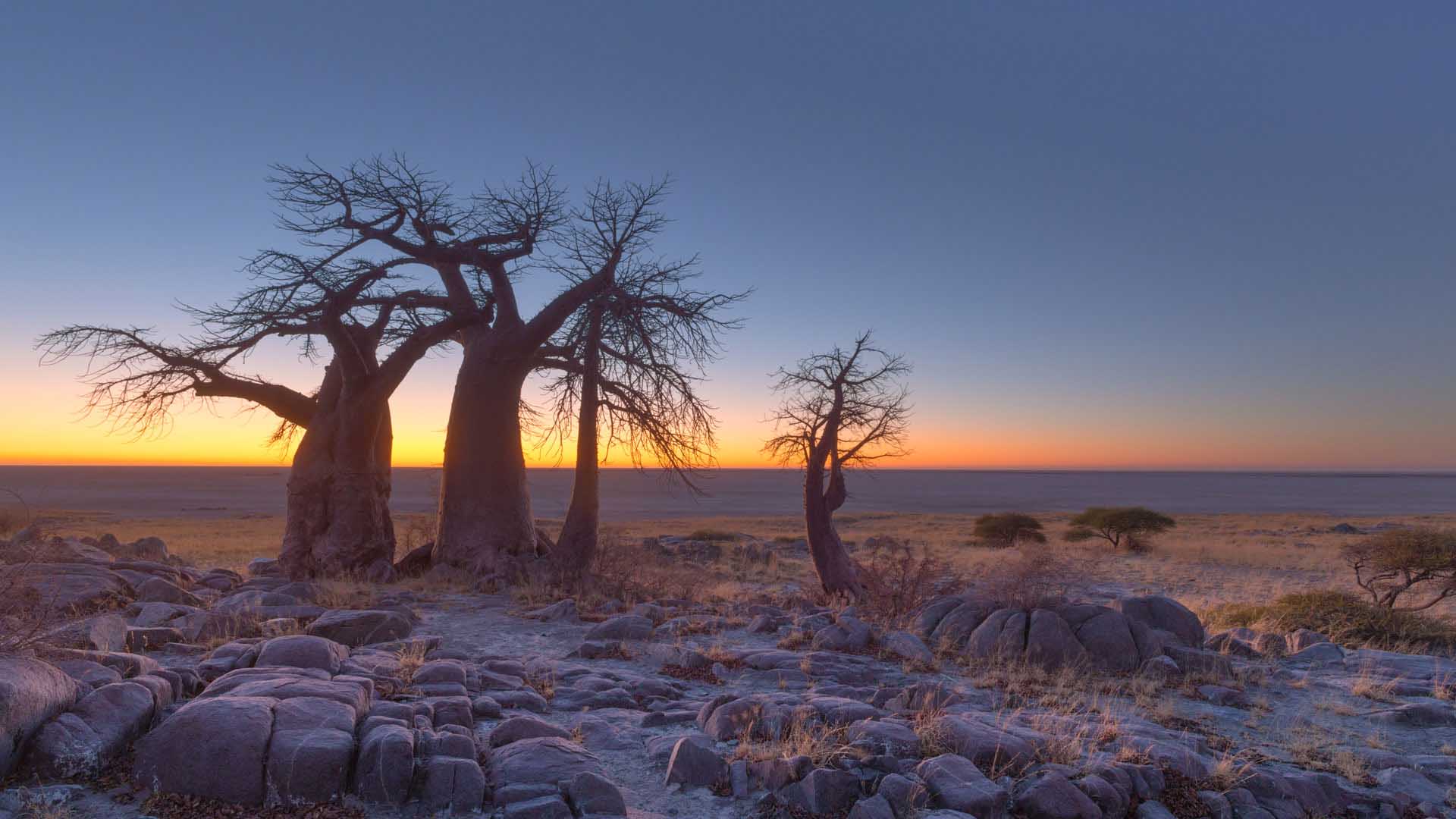 Makgadikgadi Pan Wallpapers