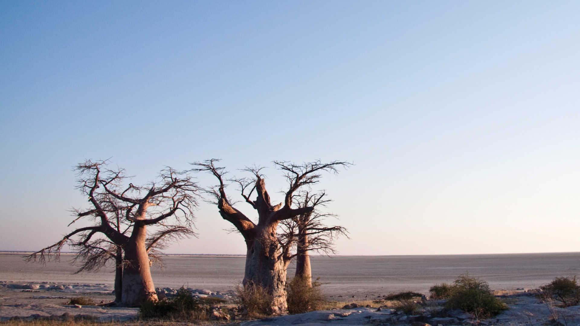 Makgadikgadi Pan Wallpapers