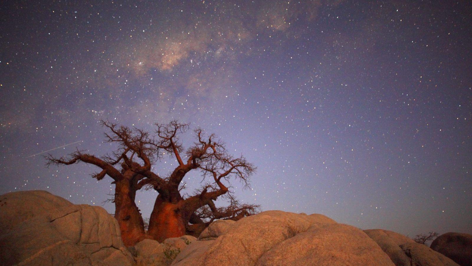 Makgadikgadi Pan Wallpapers