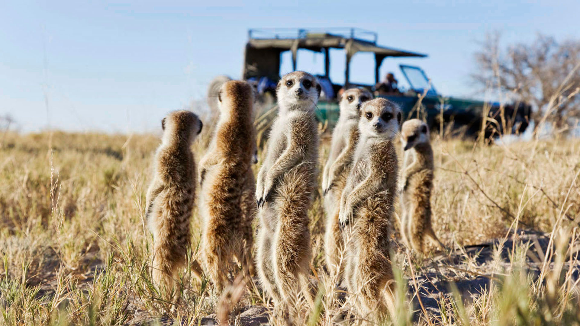 Makgadikgadi Pan Wallpapers