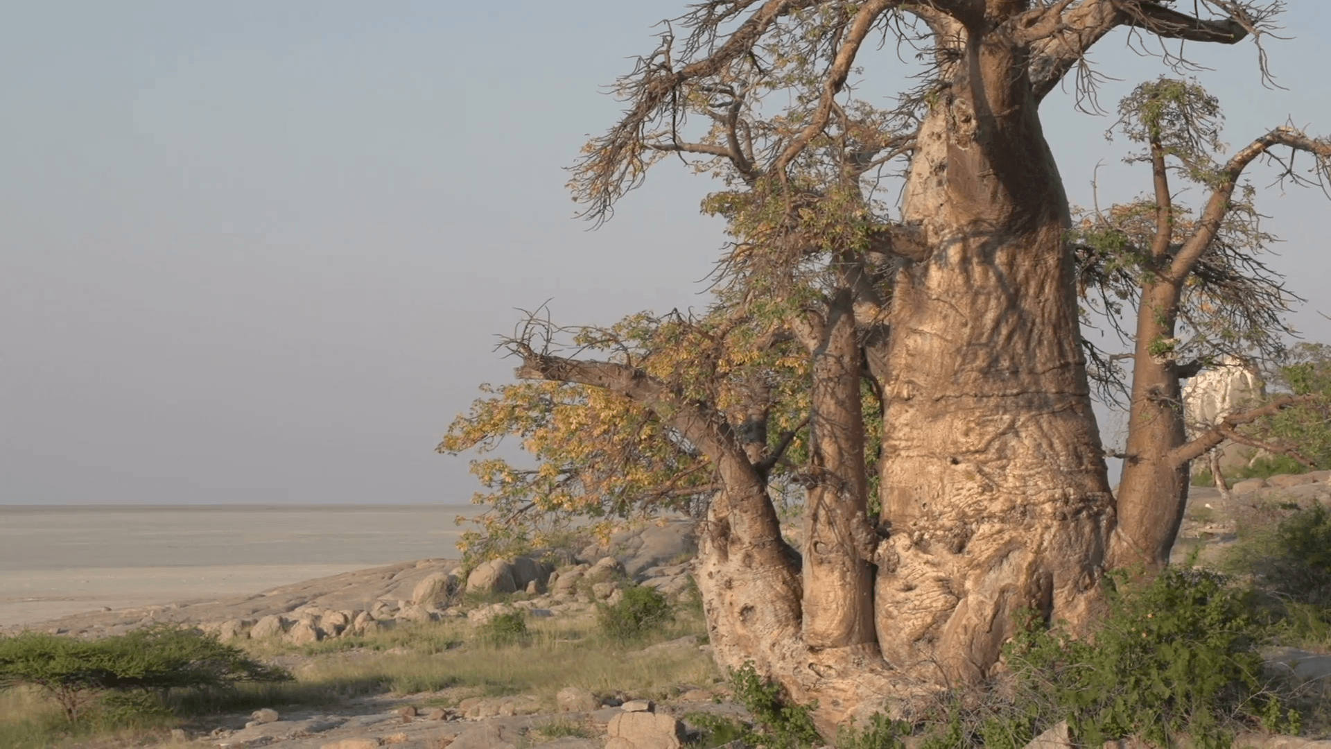 Makgadikgadi Pan Wallpapers