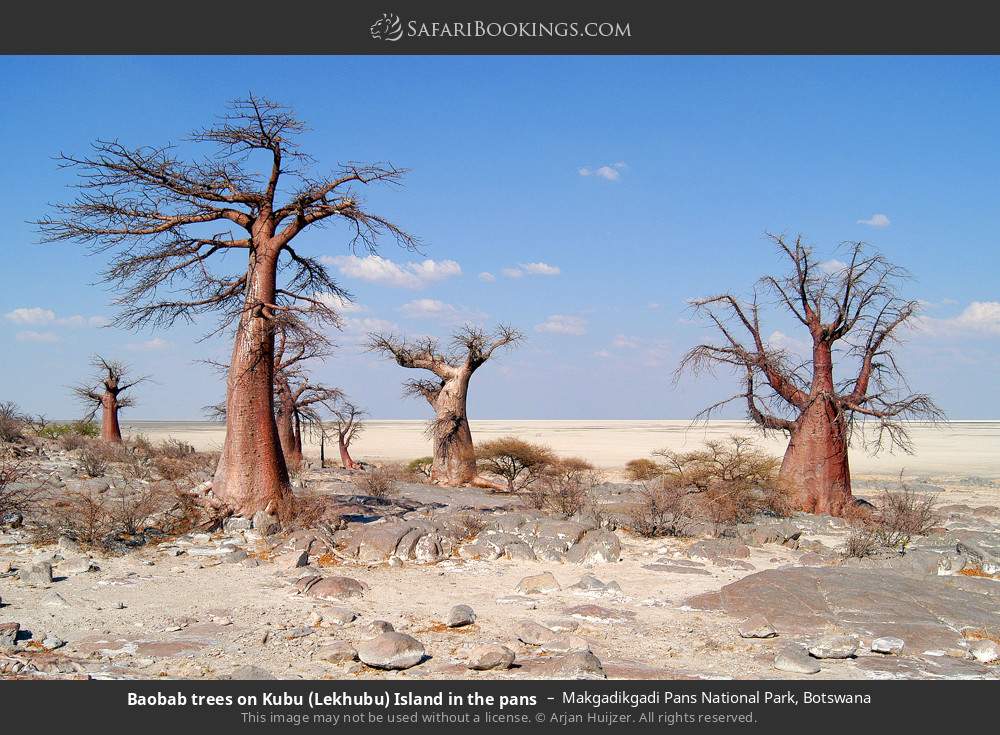 Makgadikgadi Pan Wallpapers